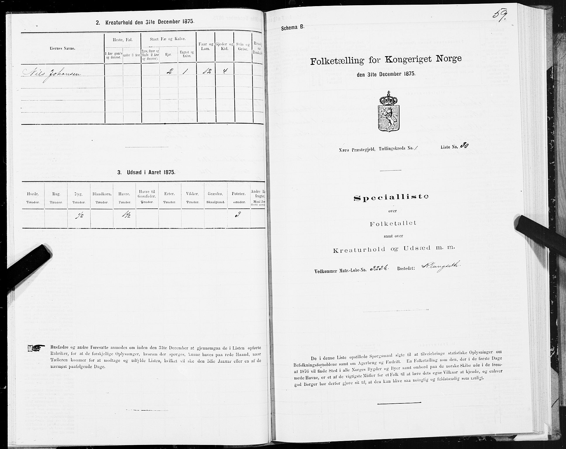 SAT, 1875 census for 1751P Nærøy, 1875, p. 1059