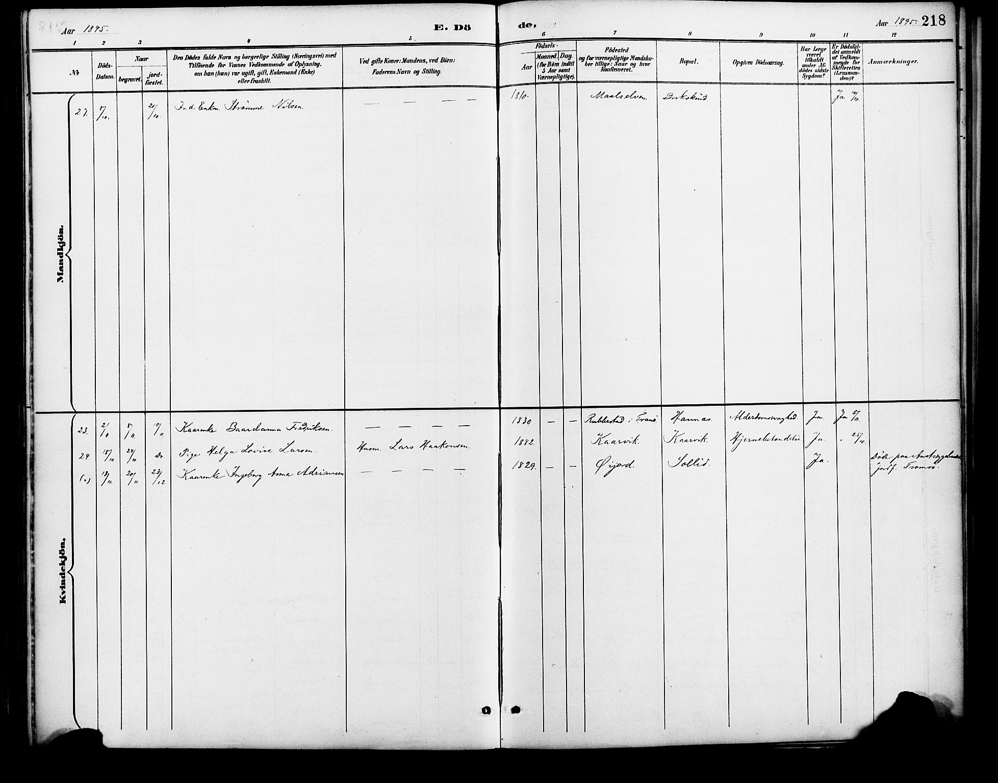 Lenvik sokneprestembete, AV/SATØ-S-1310/H/Ha/Haa/L0013kirke: Parish register (official) no. 13, 1890-1898, p. 218