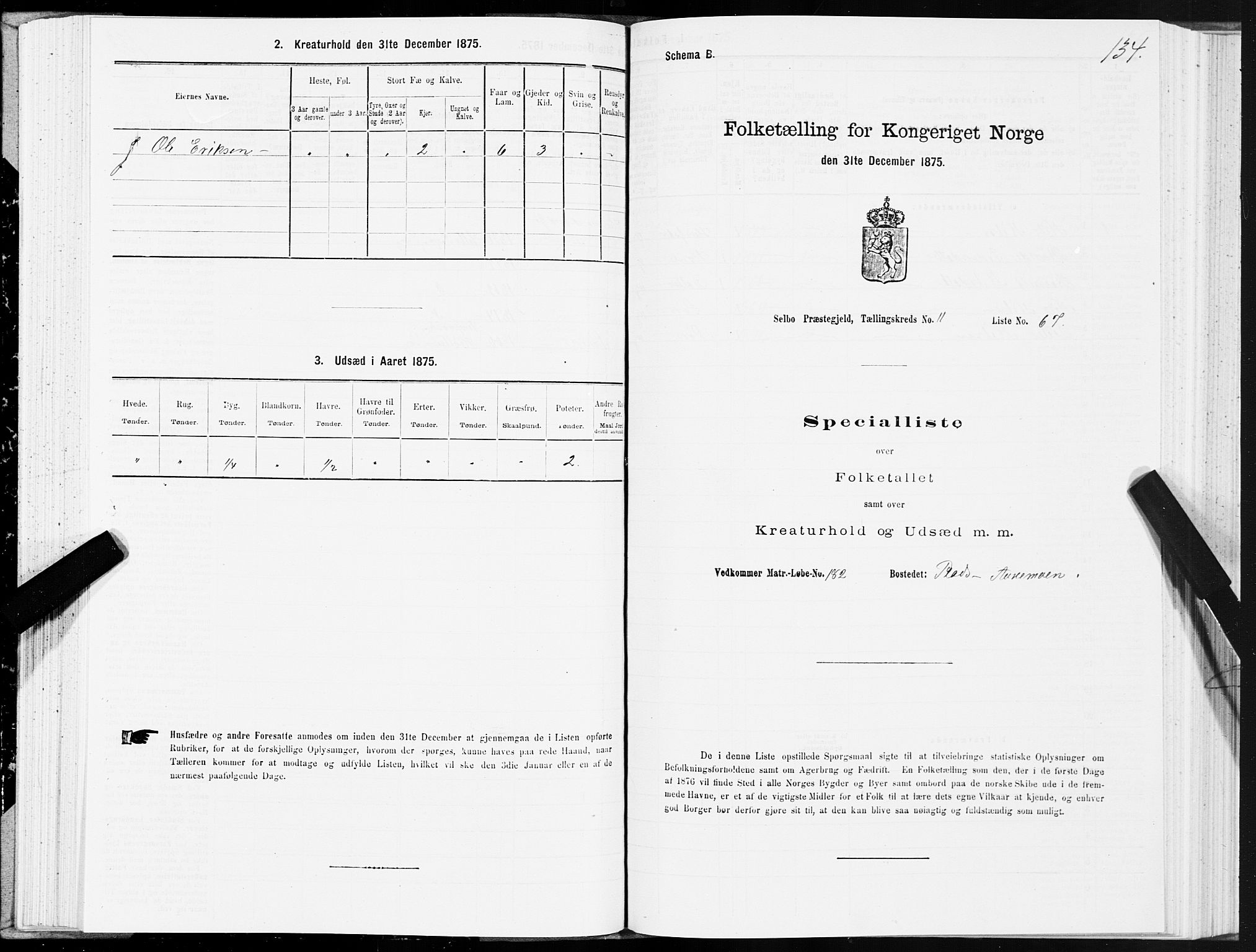 SAT, 1875 census for 1664P Selbu, 1875, p. 6134