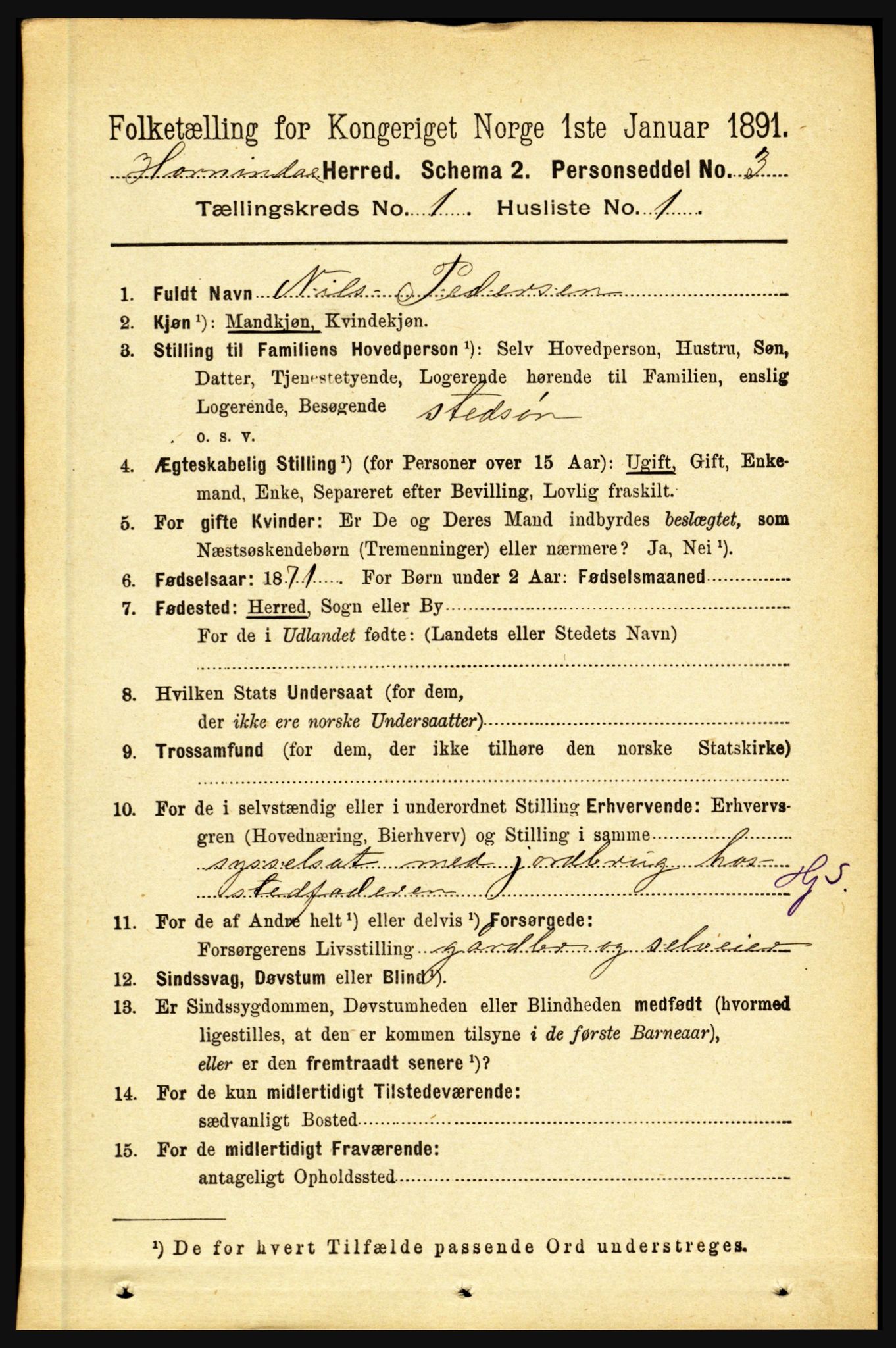 RA, 1891 census for 1444 Hornindal, 1891, p. 63