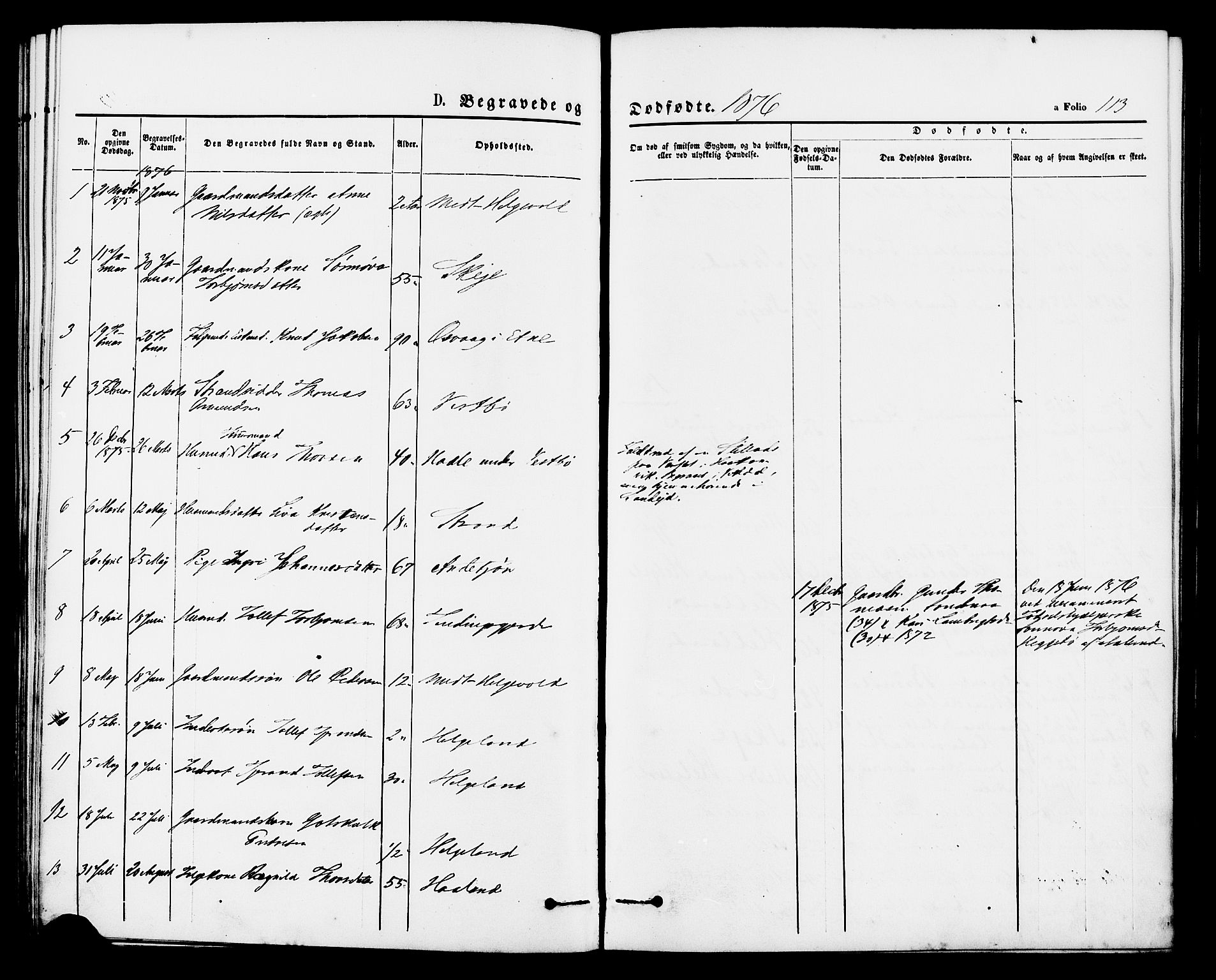 Vikedal sokneprestkontor, AV/SAST-A-101840/01/IV: Parish register (official) no. A 8, 1868-1885, p. 113