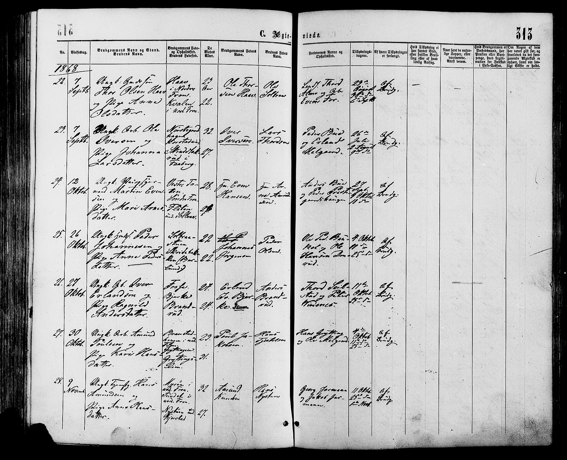 Sør-Fron prestekontor, SAH/PREST-010/H/Ha/Haa/L0002: Parish register (official) no. 2, 1864-1880, p. 313