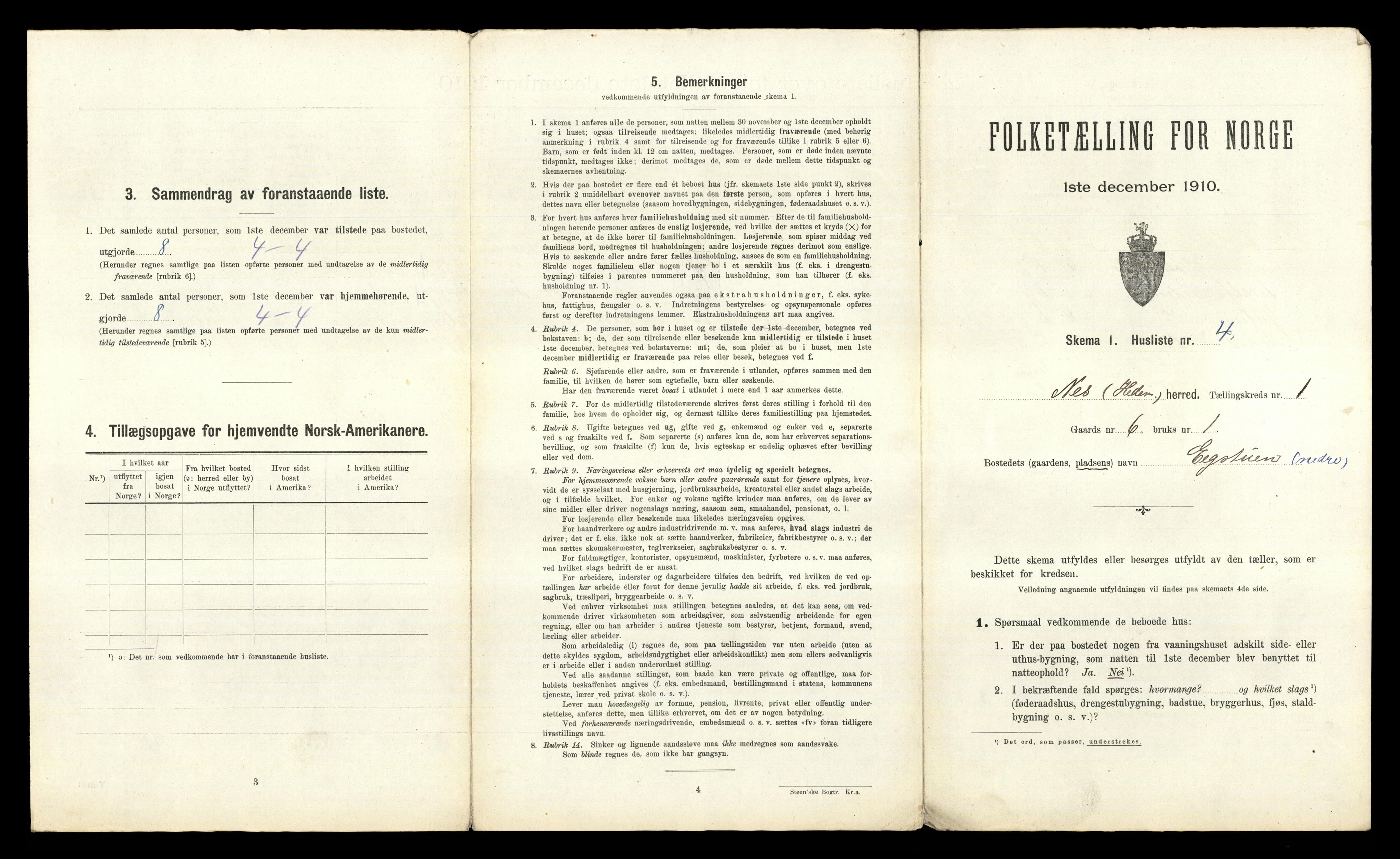 RA, 1910 census for Nes, 1910, p. 43