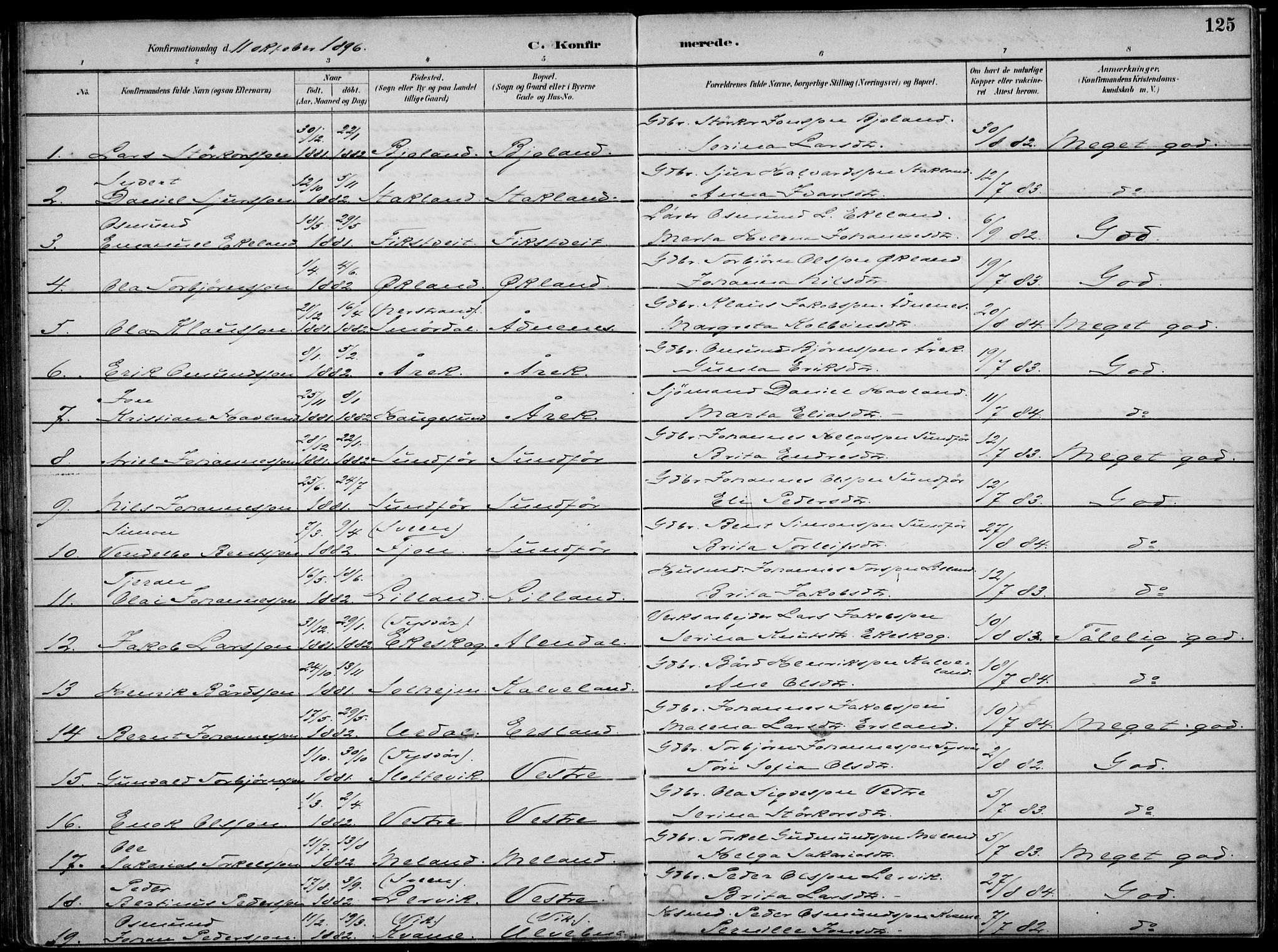 Skjold sokneprestkontor, SAST/A-101847/H/Ha/Haa/L0010: Parish register (official) no. A 10, 1882-1897, p. 125