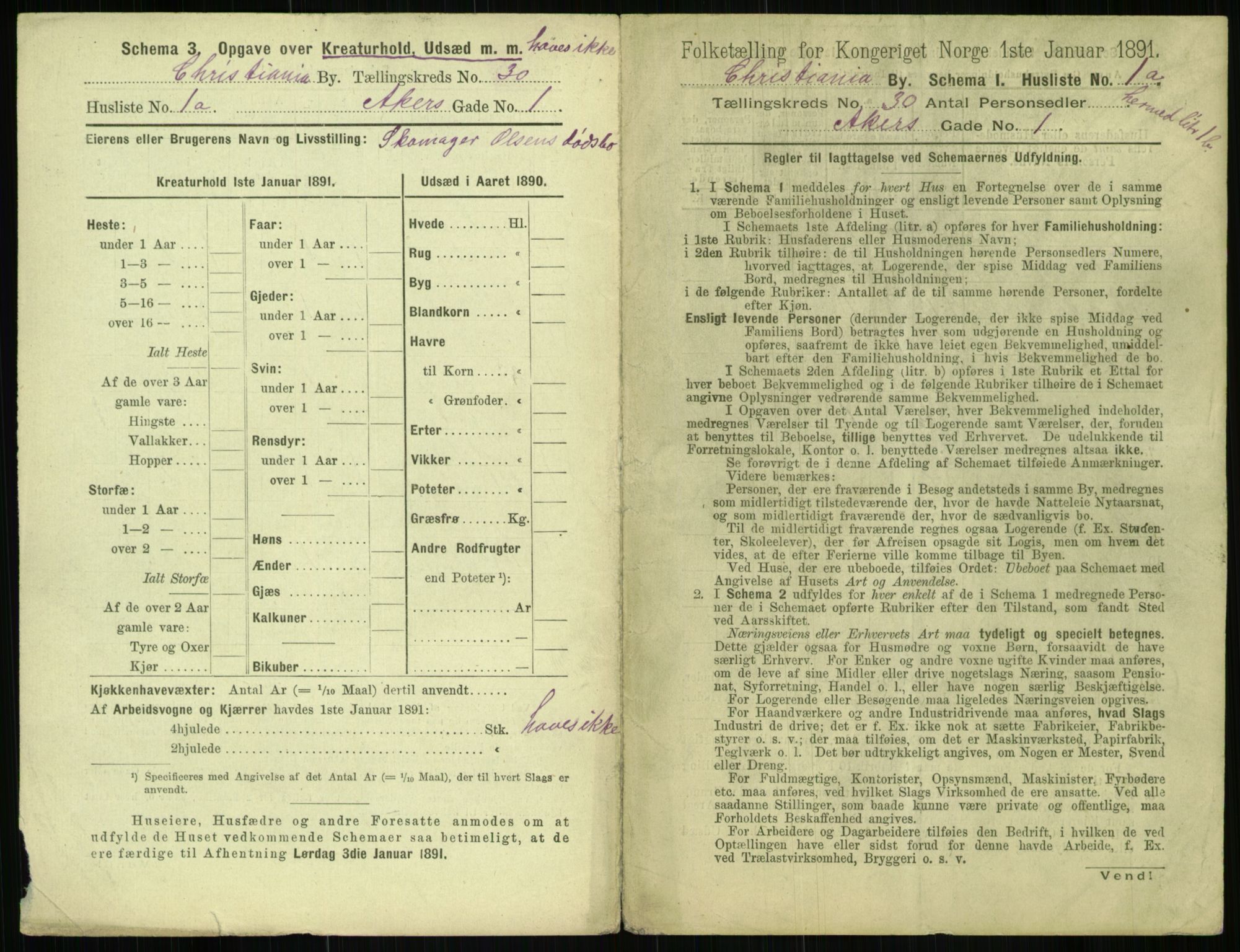 RA, 1891 census for 0301 Kristiania, 1891, p. 15529