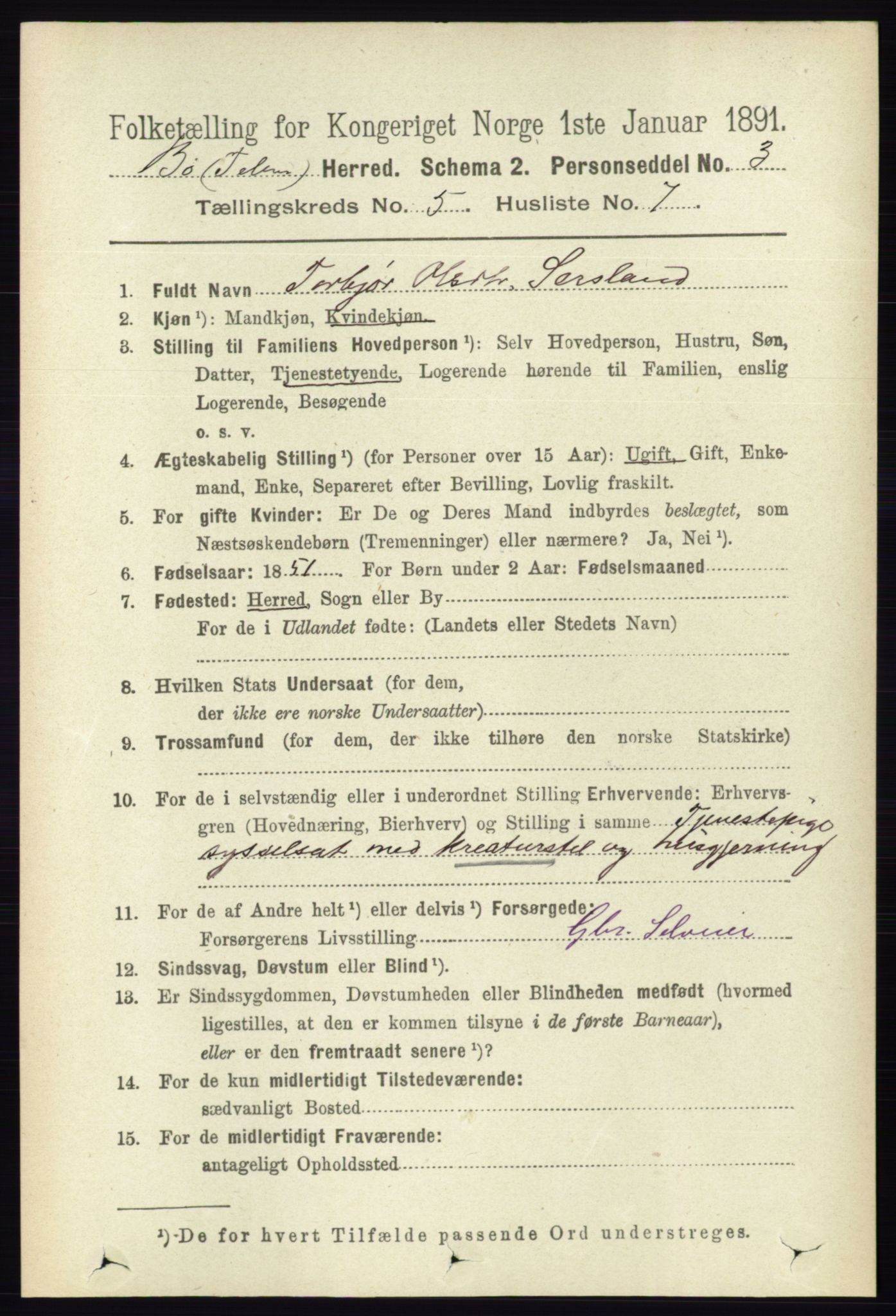 RA, 1891 census for 0821 Bø, 1891, p. 1455