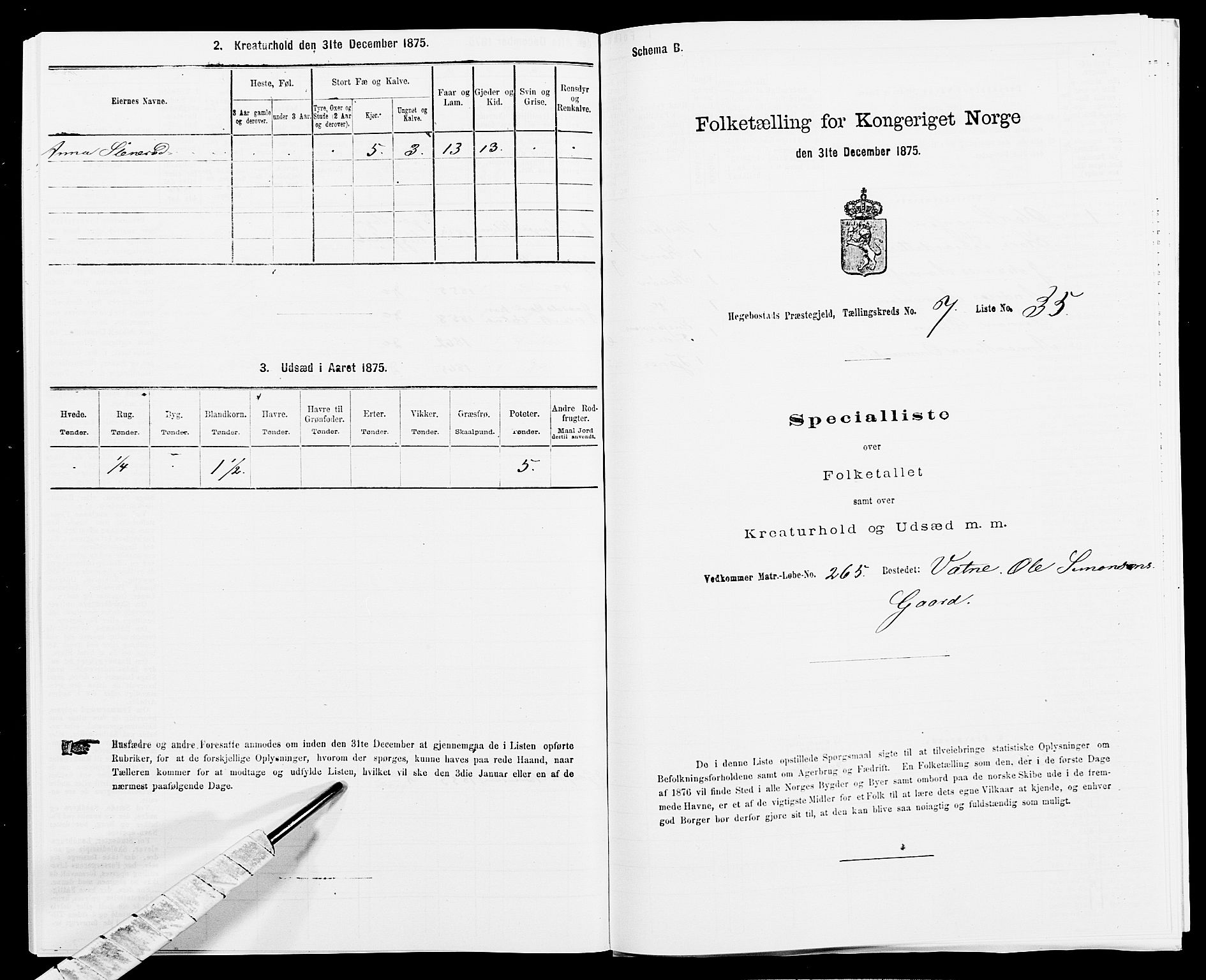 SAK, 1875 census for 1034P Hægebostad, 1875, p. 788