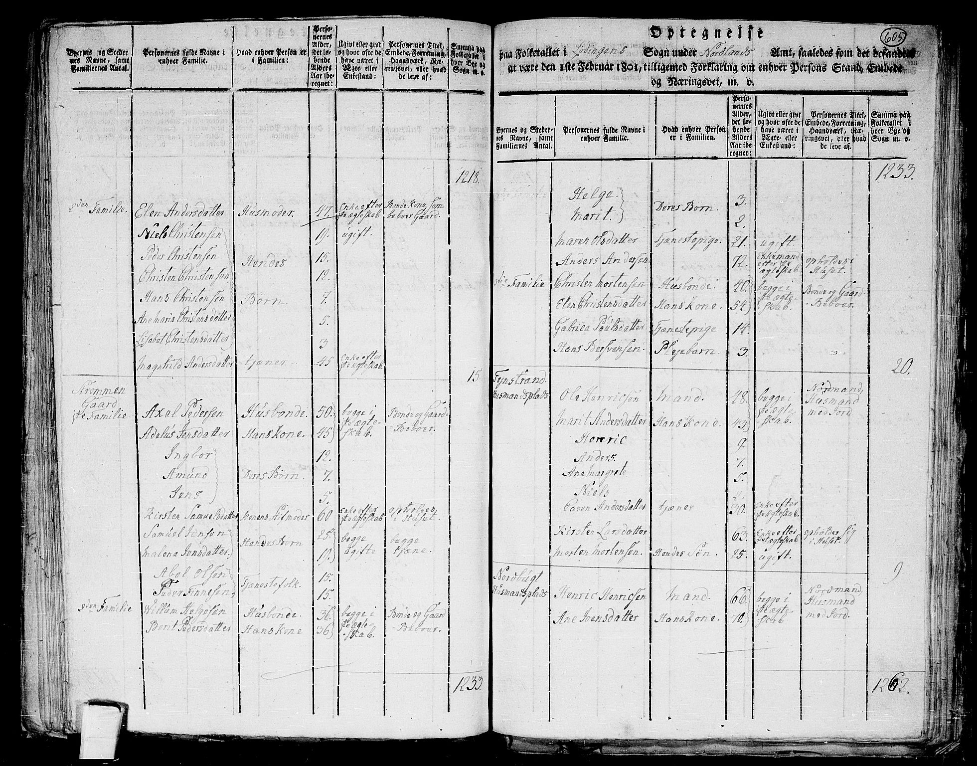 RA, 1801 census for 1851P Lødingen, 1801, p. 604b-605a