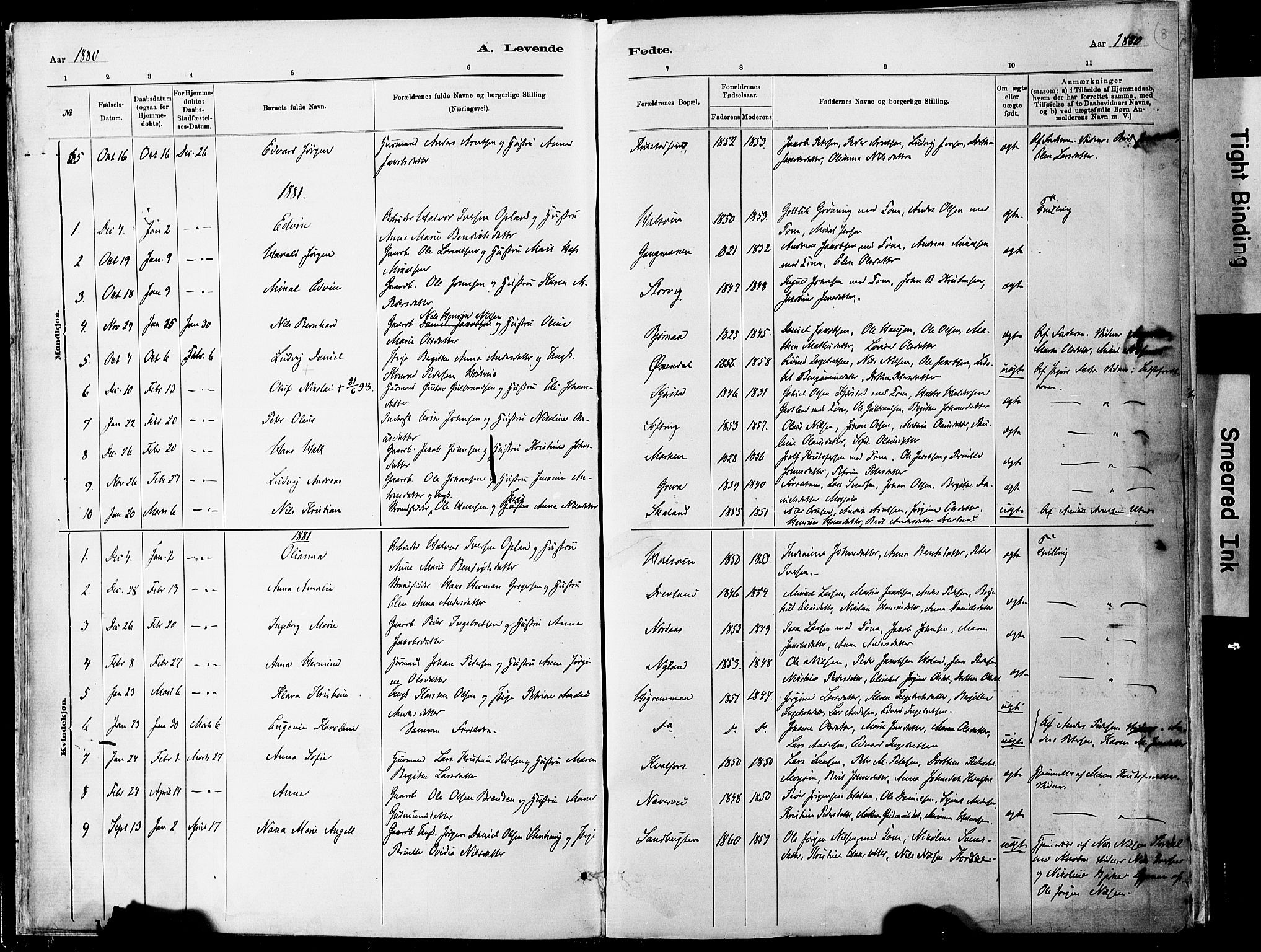 Ministerialprotokoller, klokkerbøker og fødselsregistre - Nordland, AV/SAT-A-1459/820/L0295: Parish register (official) no. 820A16, 1880-1896, p. 8