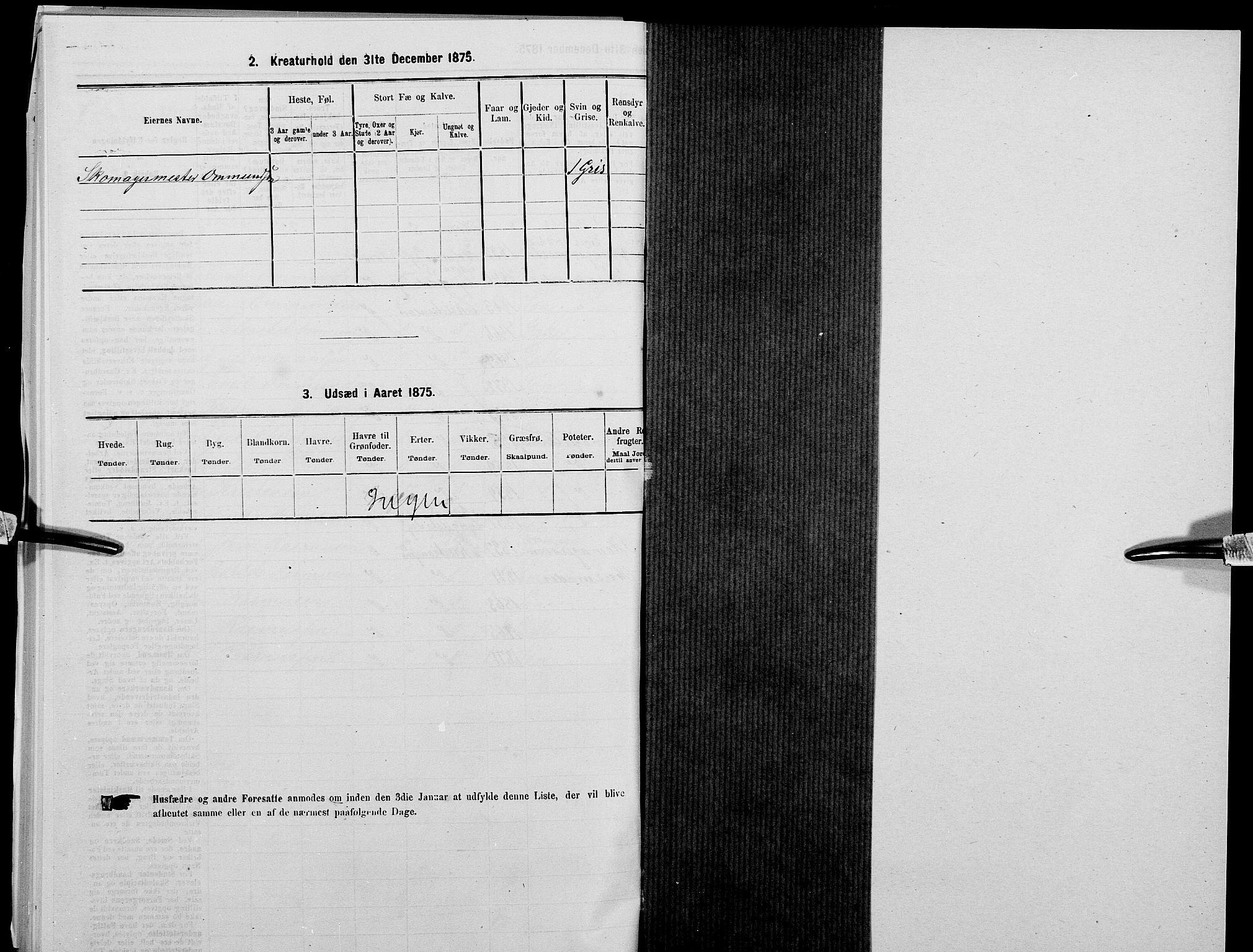 SAK, 1875 census for 1001P Kristiansand, 1875, p. 1465