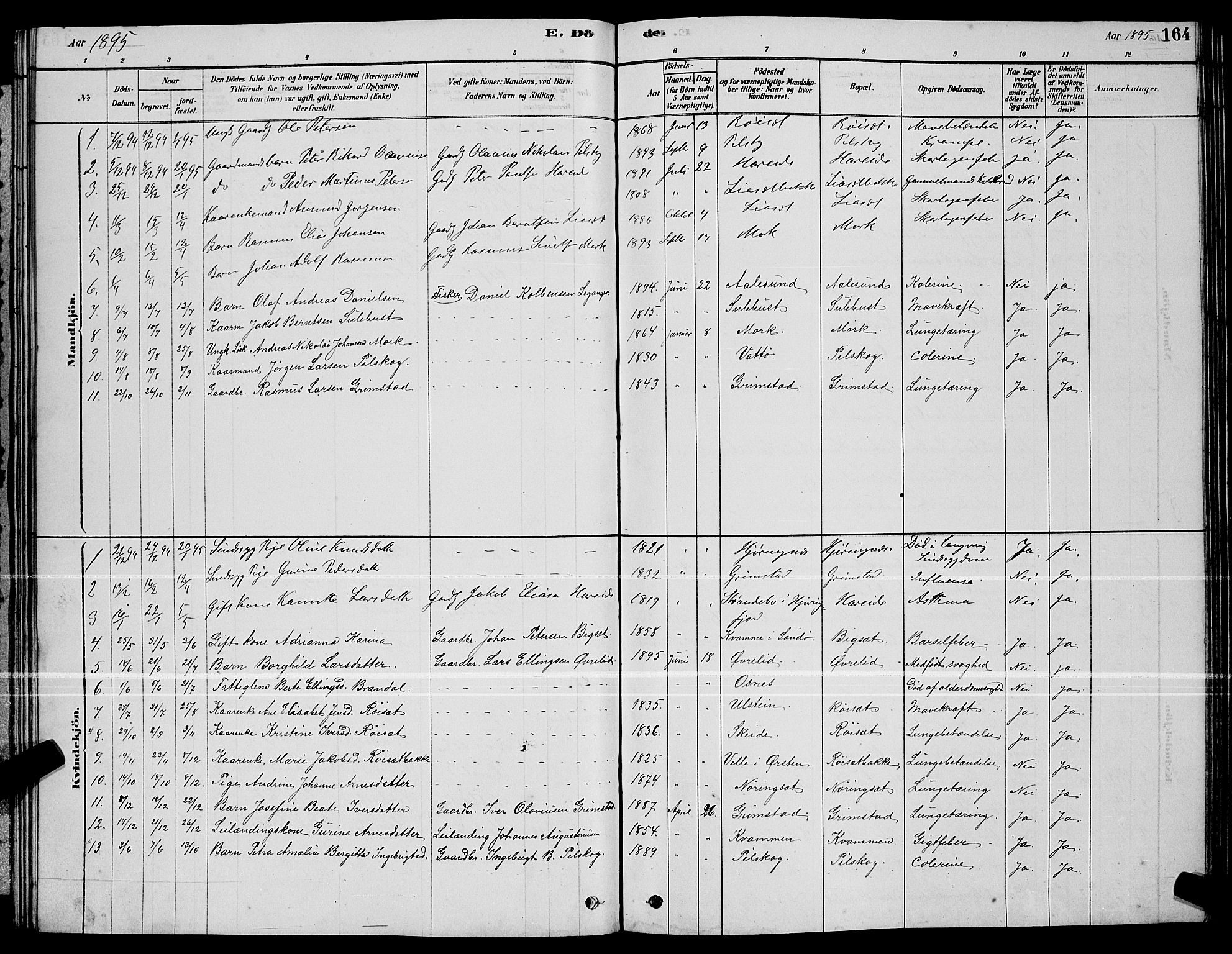 Ministerialprotokoller, klokkerbøker og fødselsregistre - Møre og Romsdal, AV/SAT-A-1454/510/L0125: Parish register (copy) no. 510C02, 1878-1900, p. 164