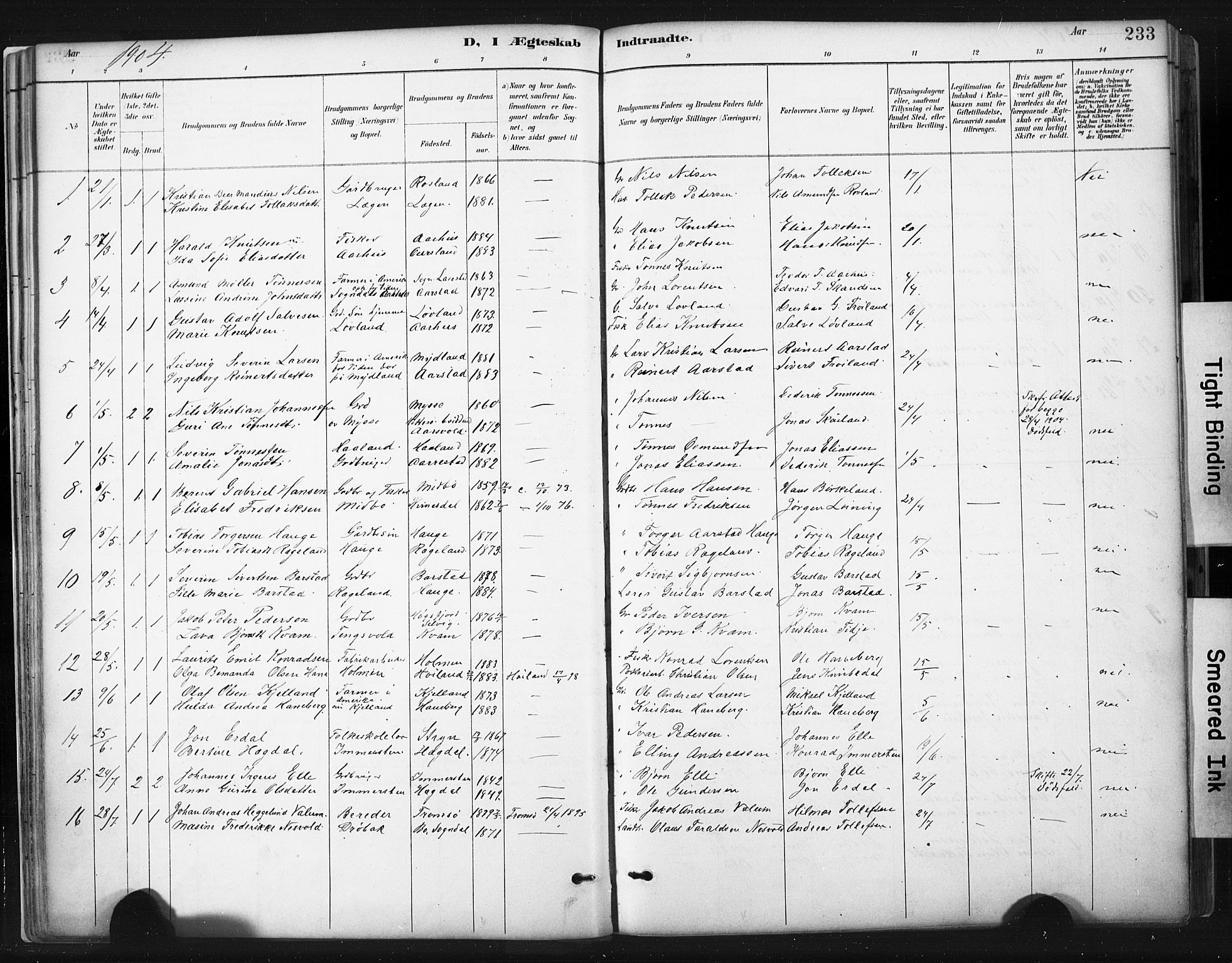 Sokndal sokneprestkontor, AV/SAST-A-101808: Parish register (official) no. A 11.2, 1887-1905, p. 233
