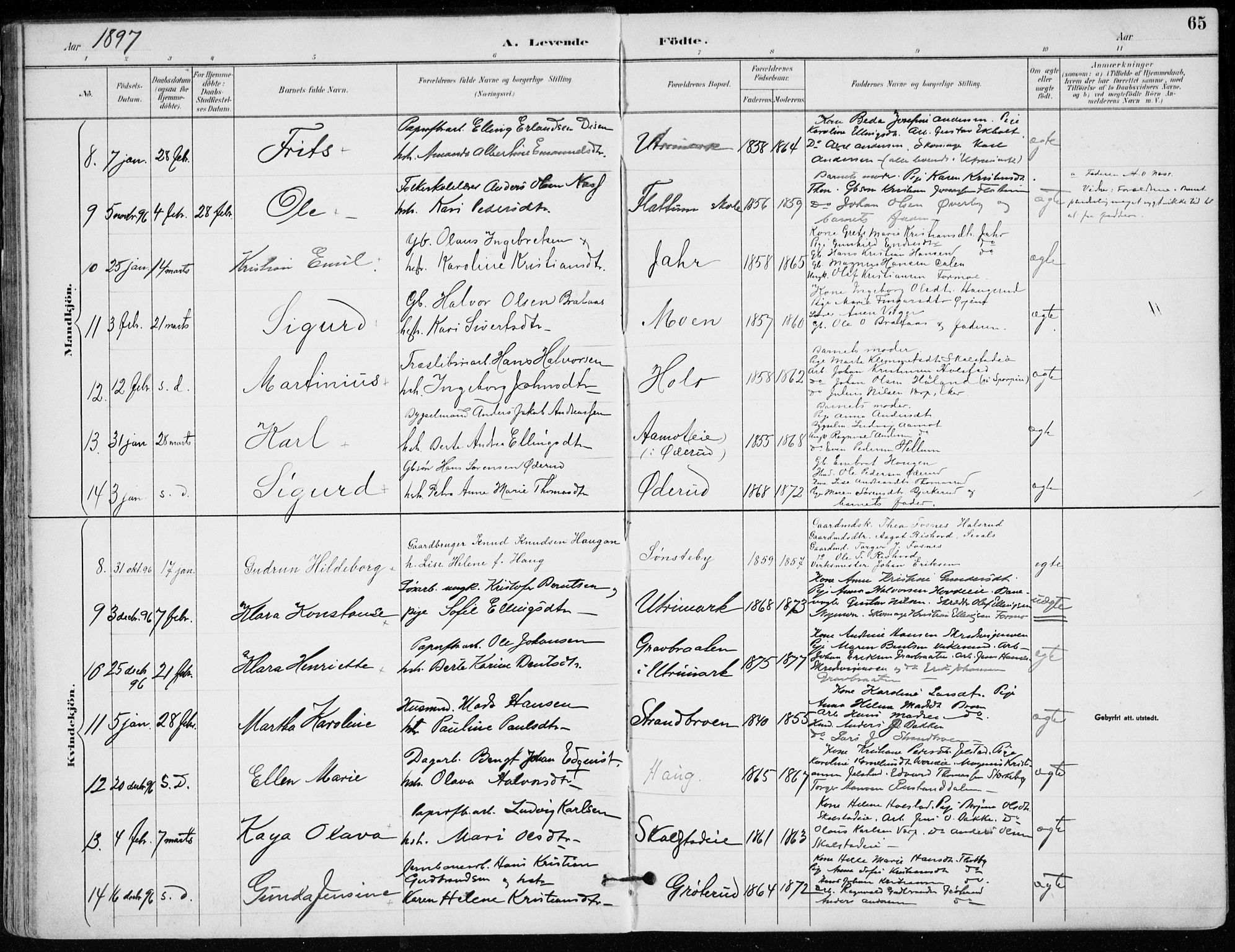 Modum kirkebøker, AV/SAKO-A-234/F/Fa/L0012: Parish register (official) no. 12, 1890-1898, p. 65