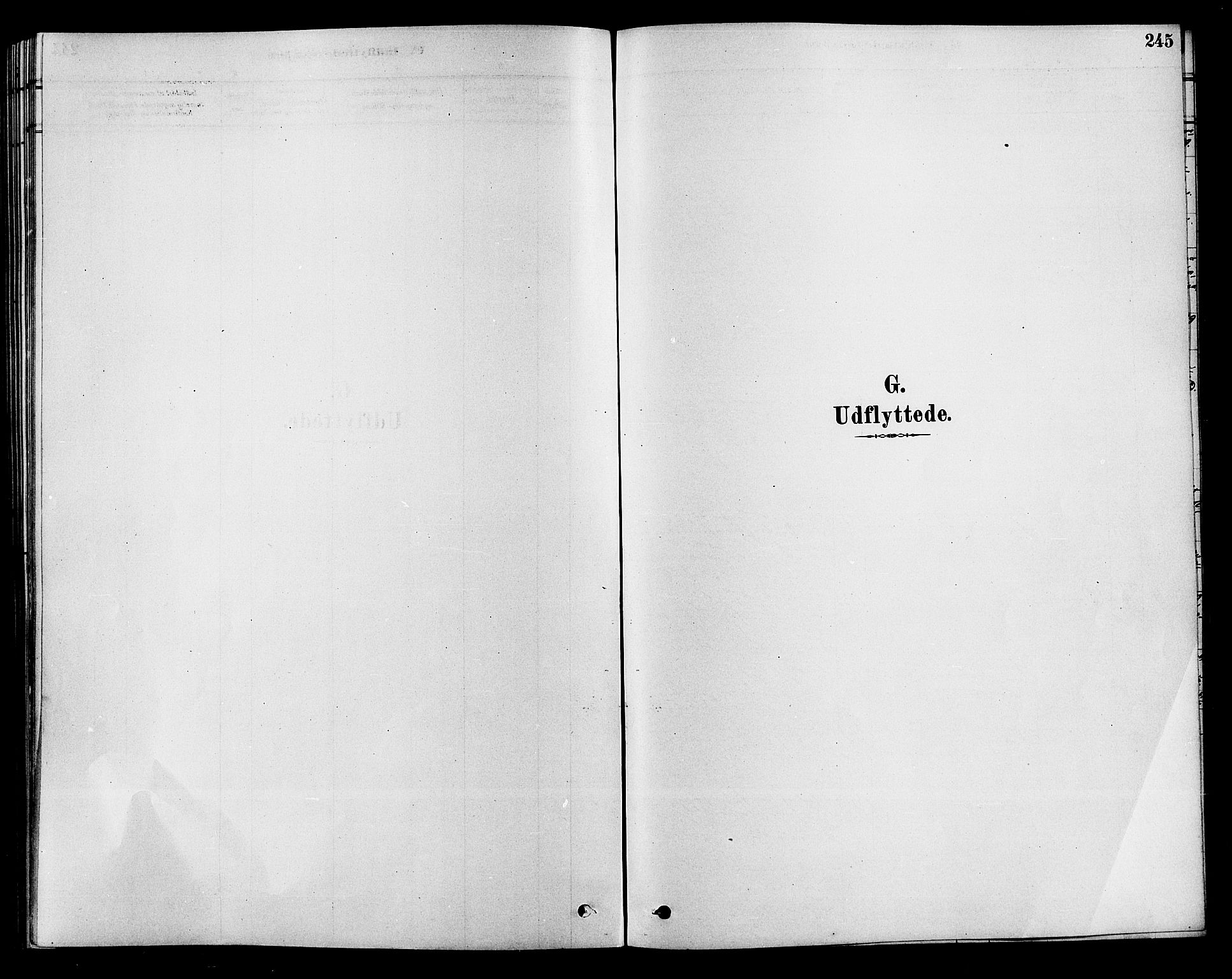 Hole kirkebøker, SAKO/A-228/F/Fa/L0008: Parish register (official) no. I 8, 1878-1891, p. 245