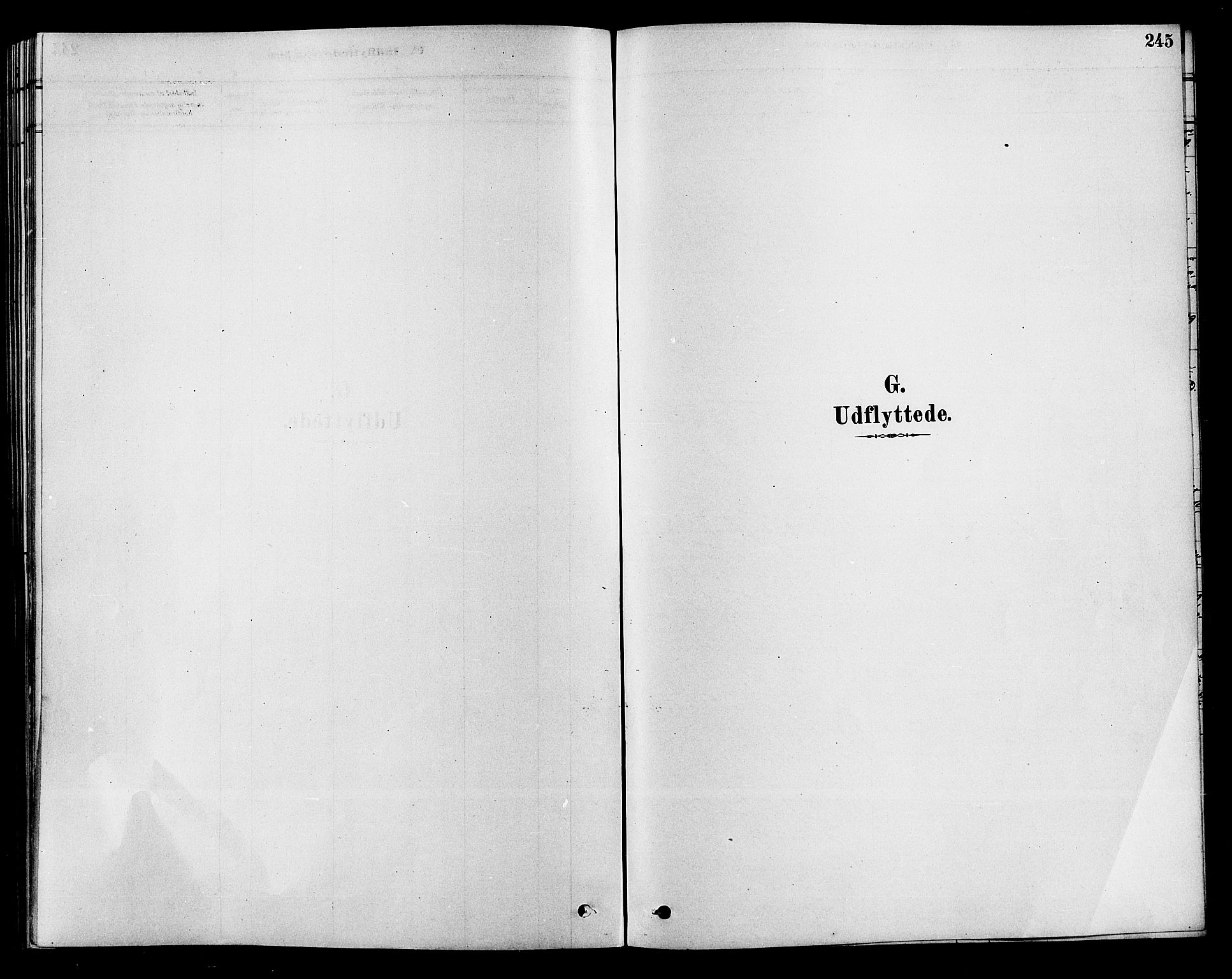 Hole kirkebøker, AV/SAKO-A-228/F/Fa/L0008: Parish register (official) no. I 8, 1878-1891, p. 245