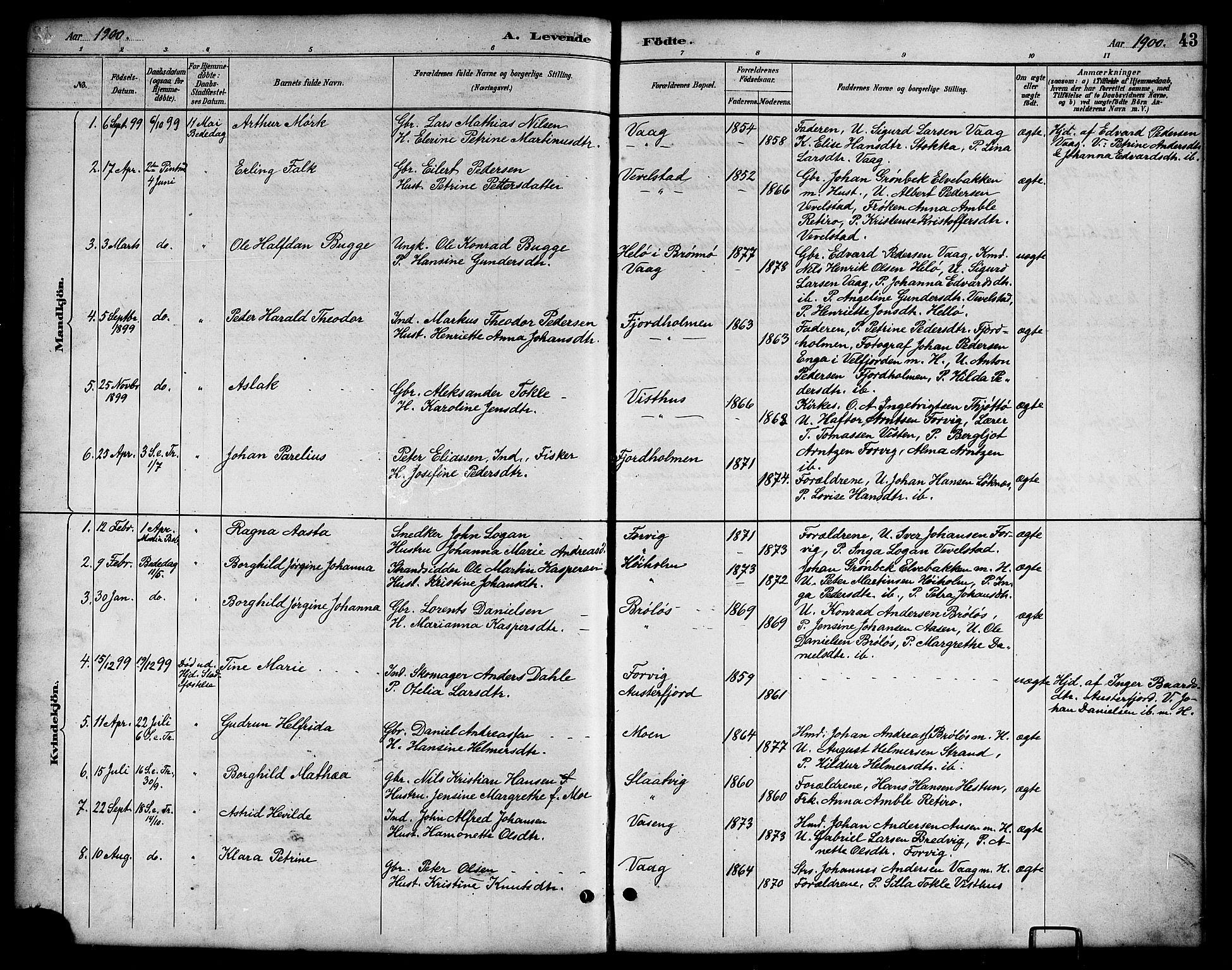 Ministerialprotokoller, klokkerbøker og fødselsregistre - Nordland, AV/SAT-A-1459/819/L0277: Parish register (copy) no. 819C03, 1888-1917, p. 43