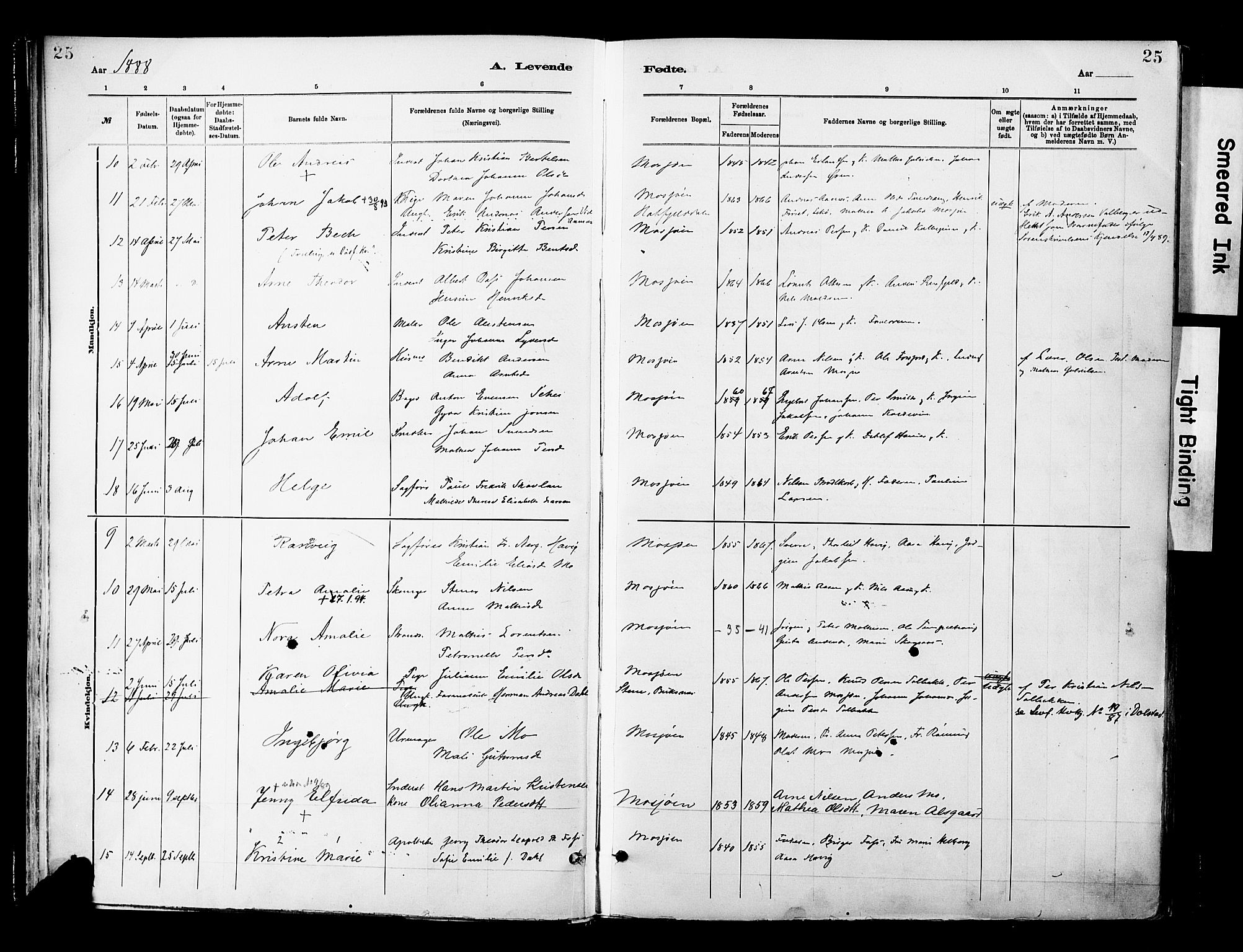 Ministerialprotokoller, klokkerbøker og fødselsregistre - Nordland, SAT/A-1459/820/L0296: Parish register (official) no. 820A17, 1880-1903, p. 25