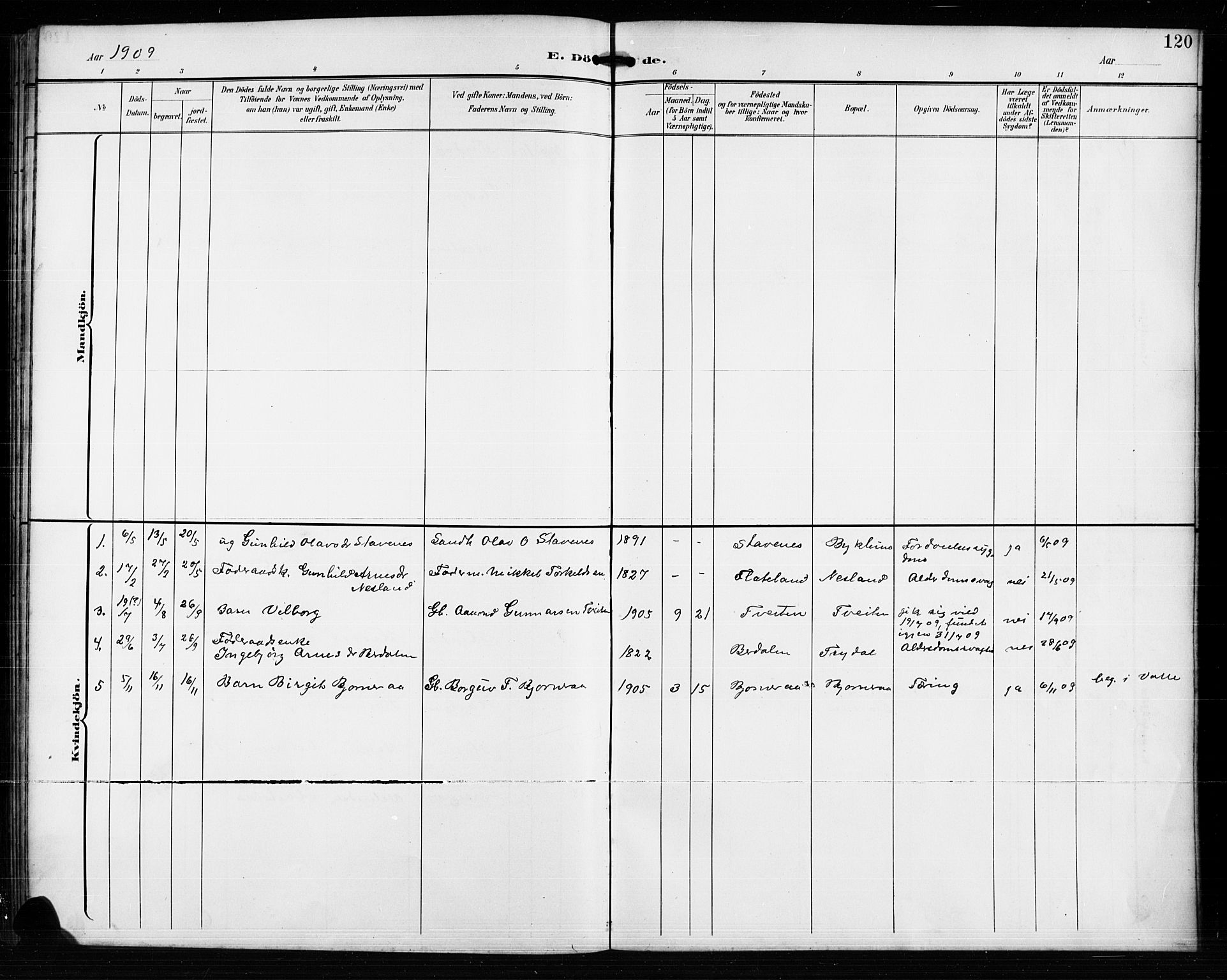 Valle sokneprestkontor, AV/SAK-1111-0044/F/Fb/Fba/L0003: Parish register (copy) no. B 3, 1895-1916, p. 120