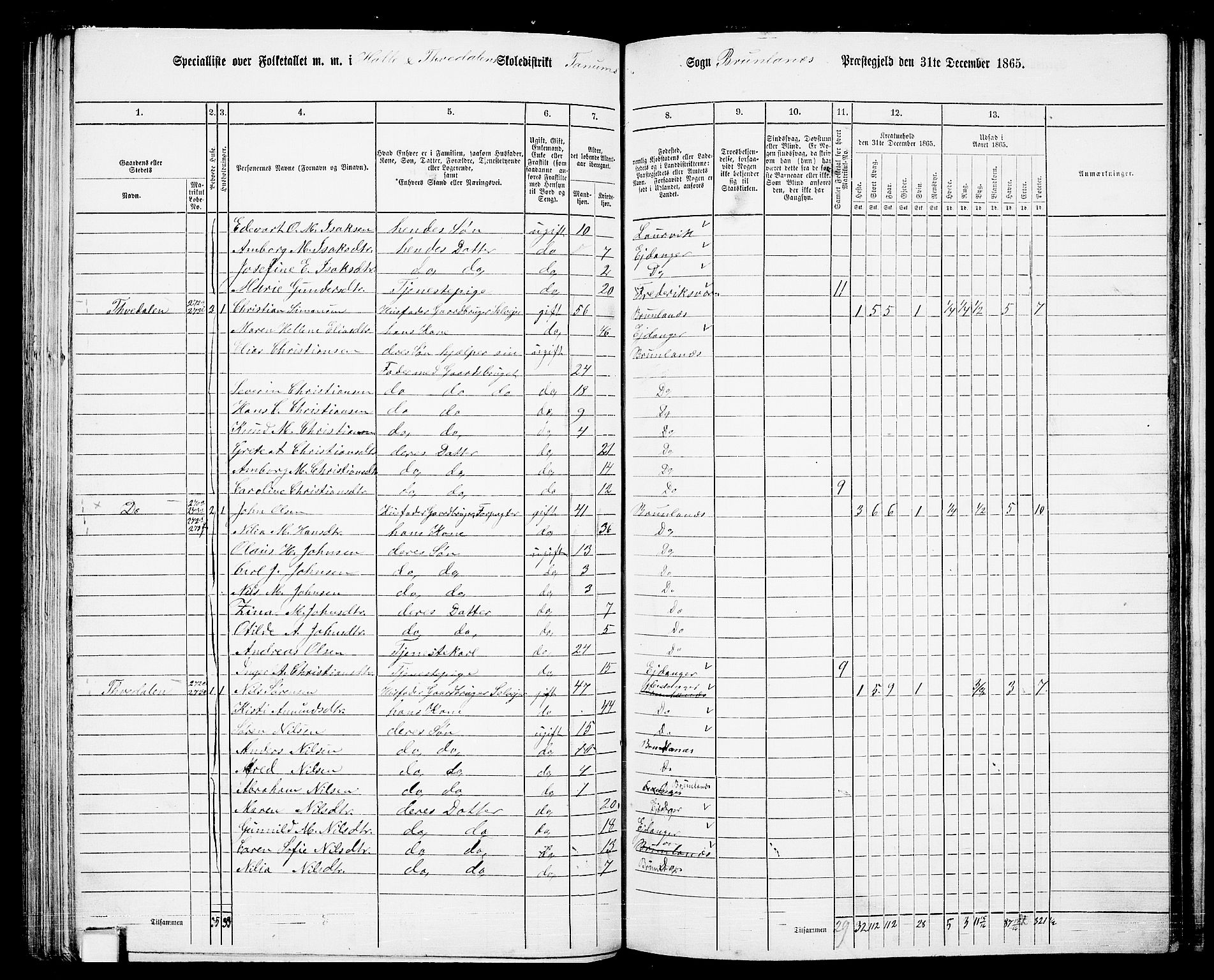 RA, 1865 census for Brunlanes, 1865, p. 101