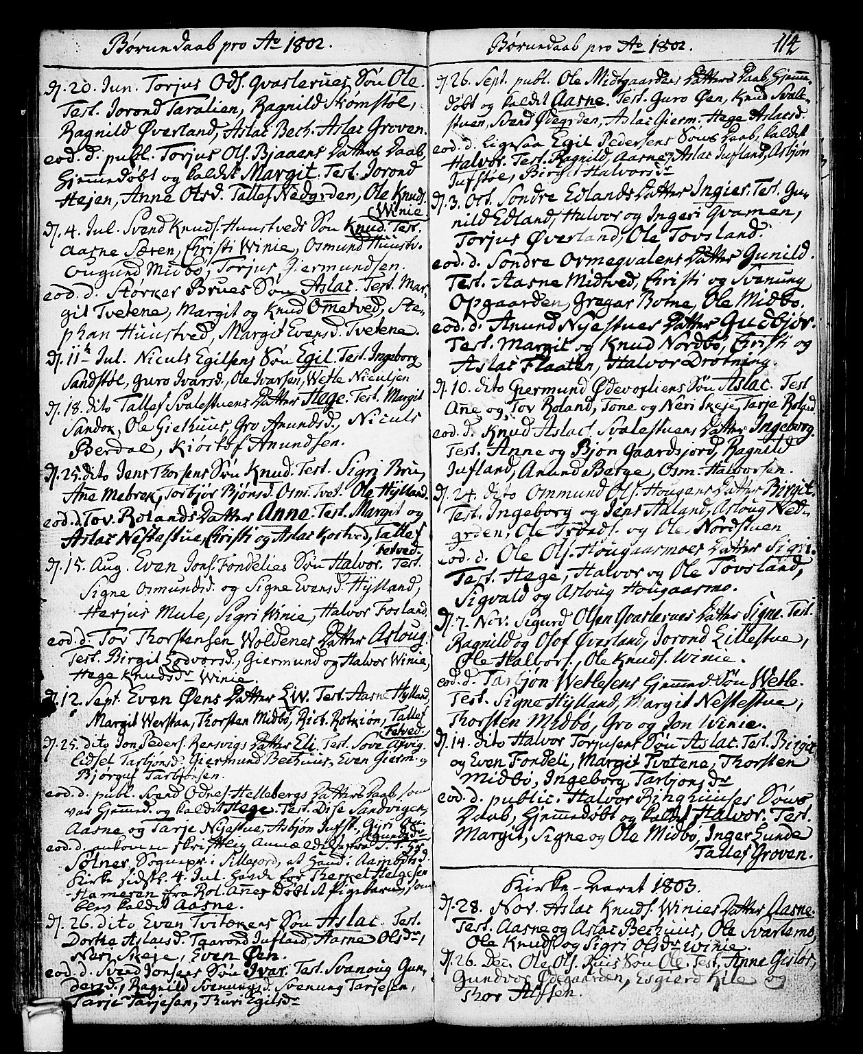 Vinje kirkebøker, SAKO/A-312/F/Fa/L0002: Parish register (official) no. I 2, 1767-1814, p. 114