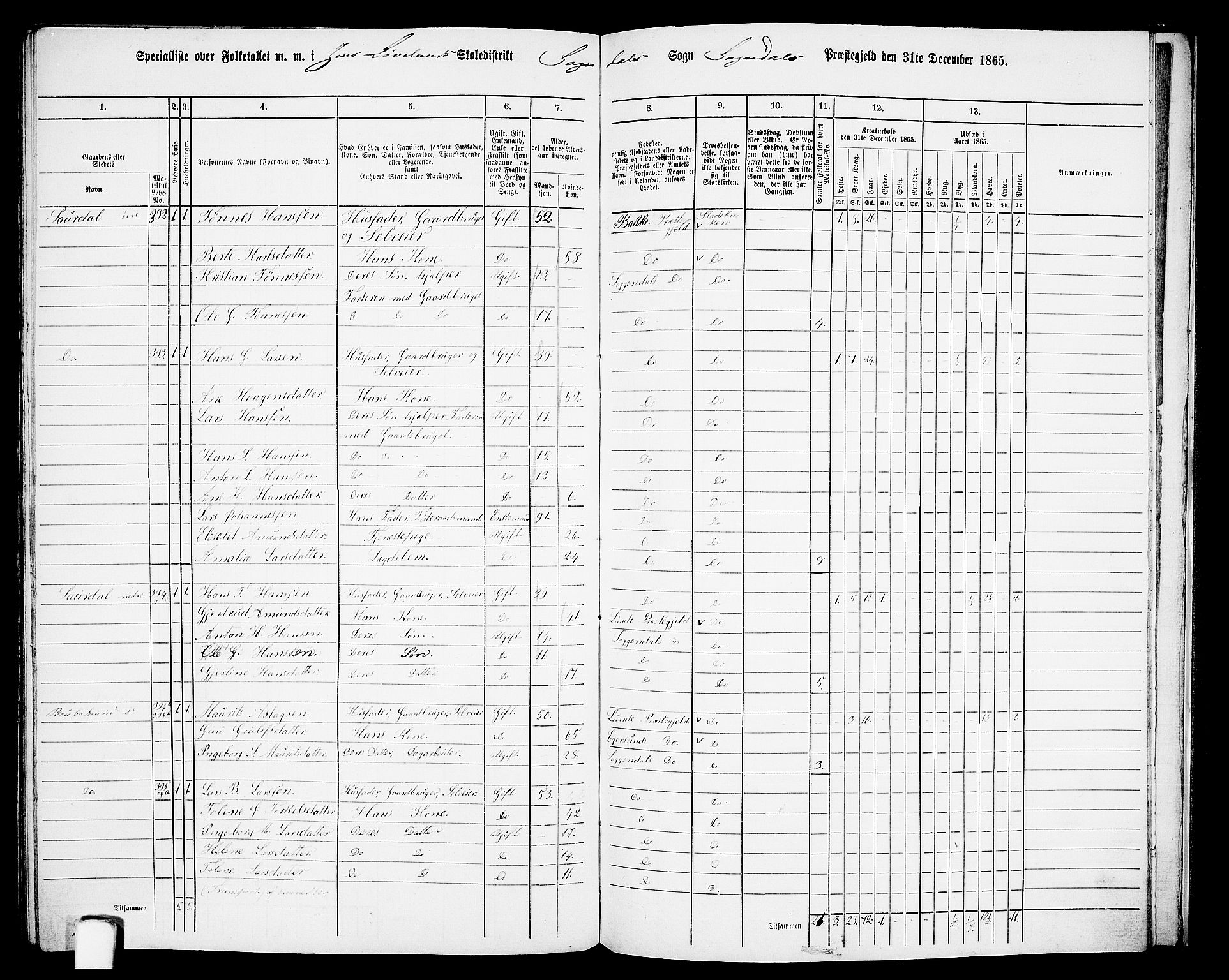 RA, 1865 census for Sokndal, 1865, p. 117