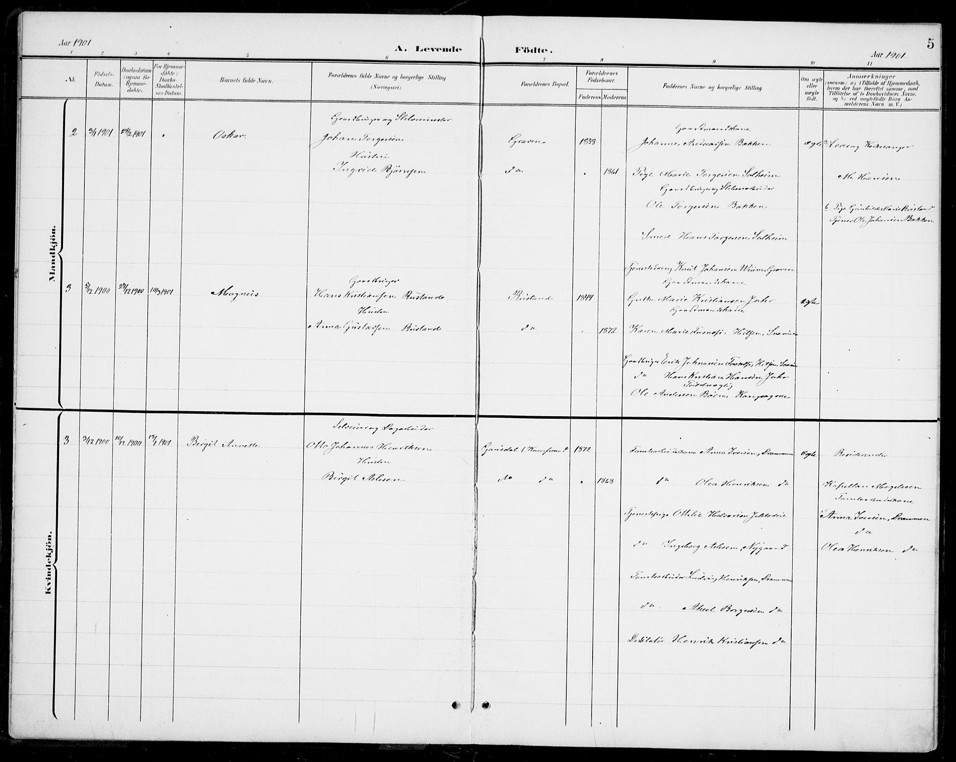 Modum kirkebøker, AV/SAKO-A-234/G/Gb/L0001: Parish register (copy) no. II 1, 1901-1942, p. 5