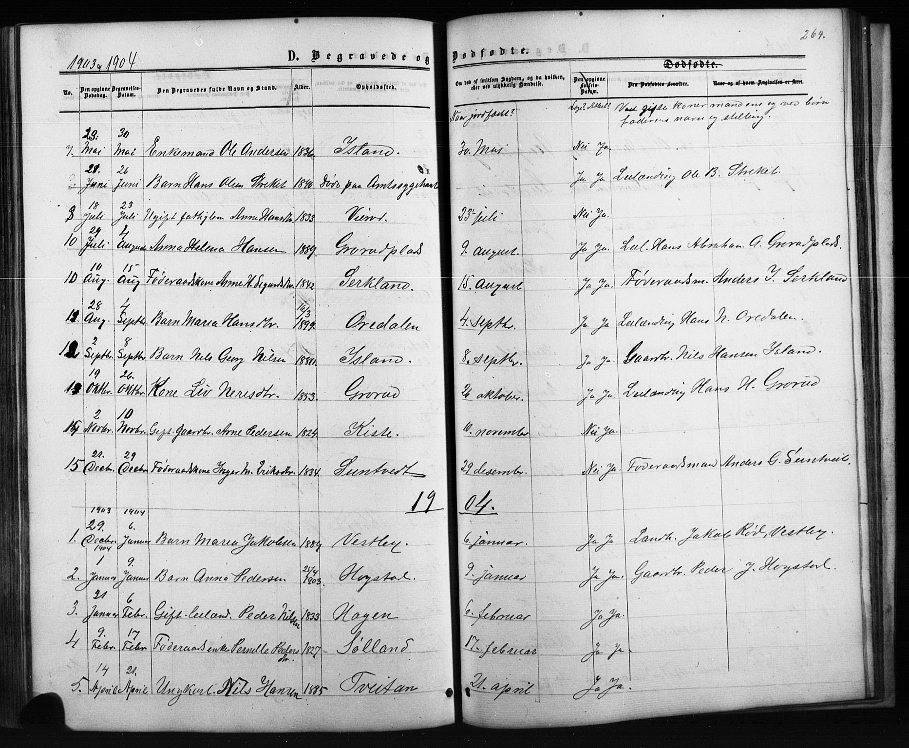 Siljan kirkebøker, AV/SAKO-A-300/G/Ga/L0002: Parish register (copy) no. 2, 1864-1908, p. 264