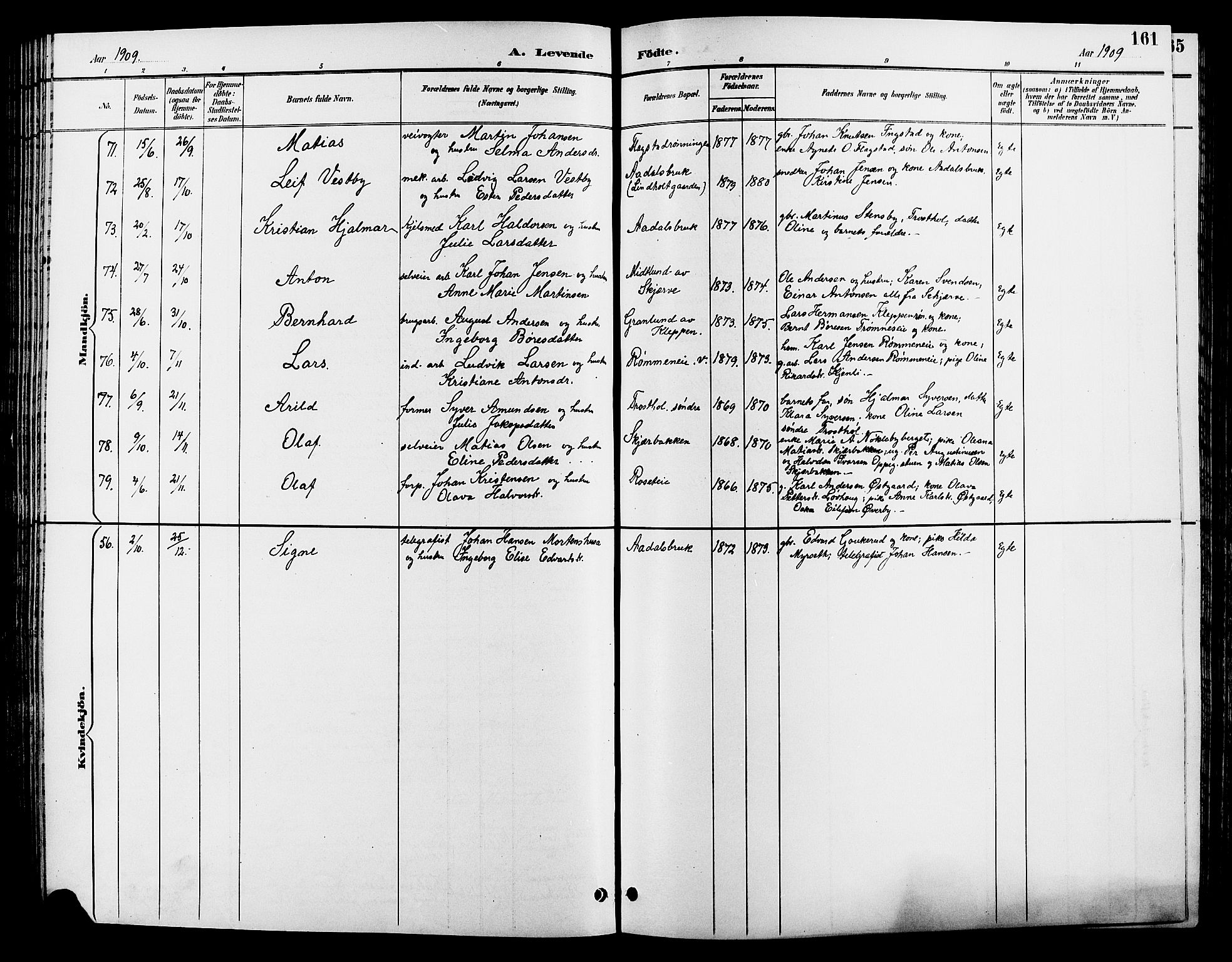 Løten prestekontor, SAH/PREST-022/L/La/L0006: Parish register (copy) no. 6, 1892-1909, p. 161