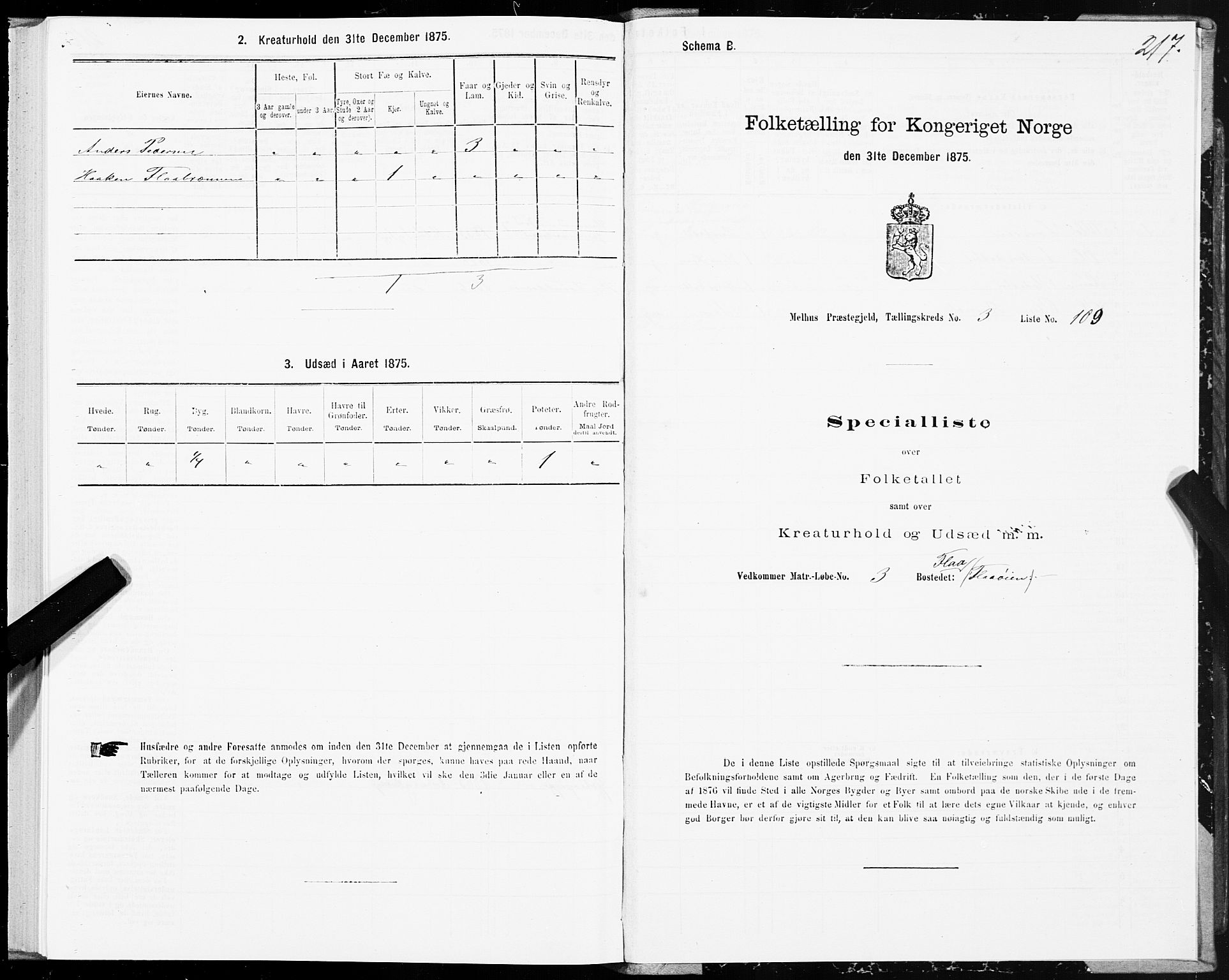 SAT, 1875 census for 1653P Melhus, 1875, p. 2217