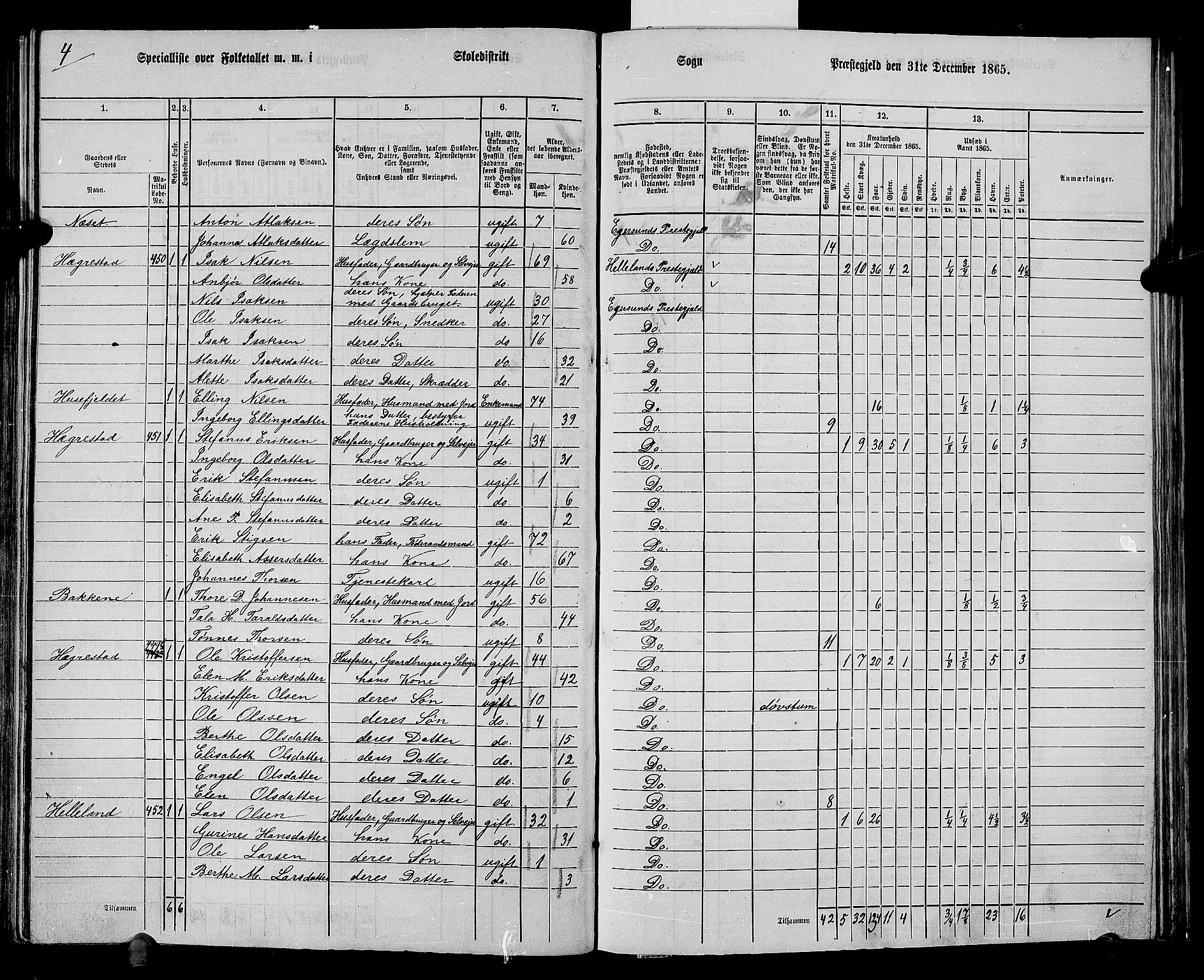 RA, 1865 census for Eigersund/Eigersund og Ogna, 1865, p. 117