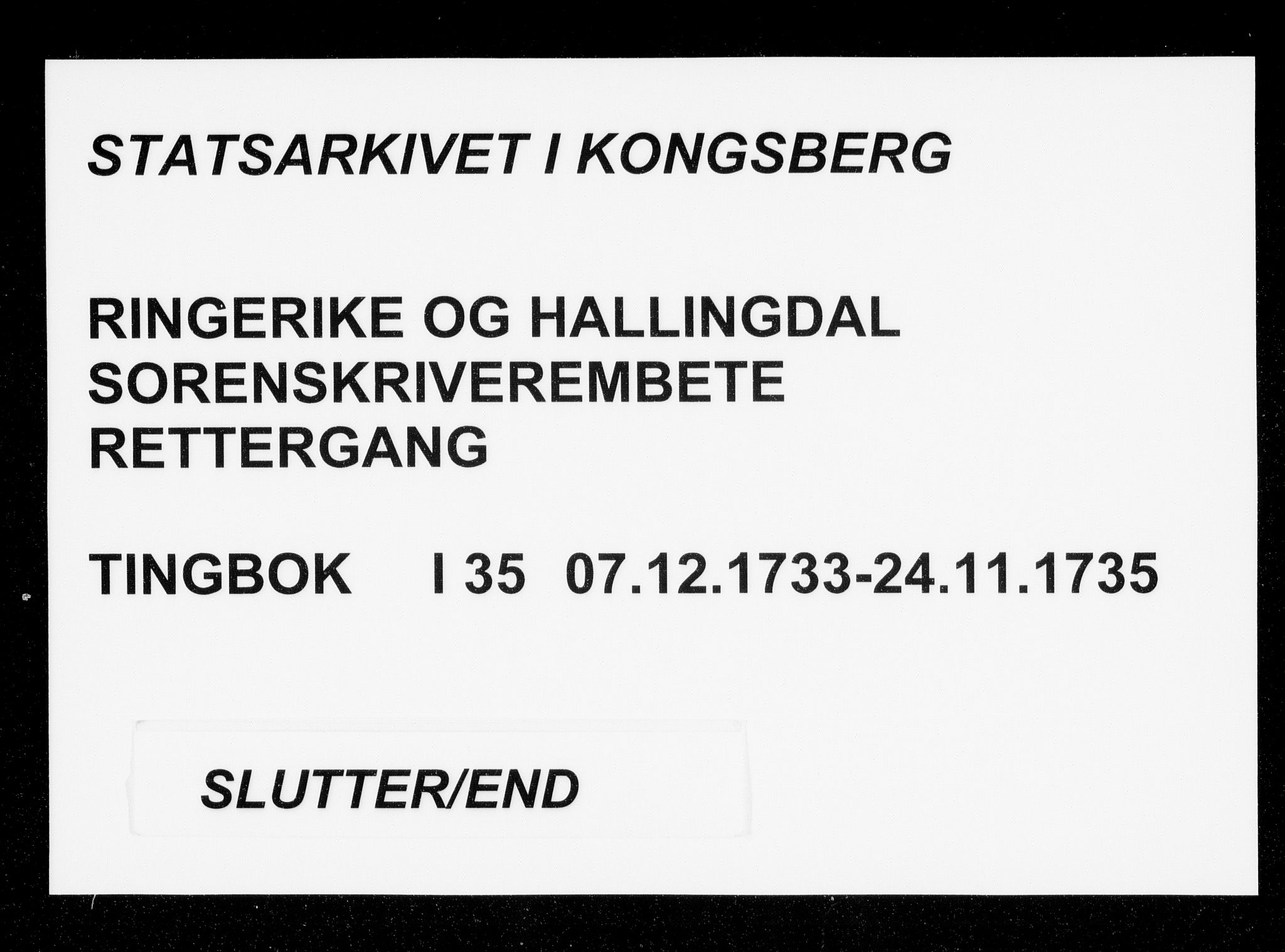 Ringerike og Hallingdal sorenskriveri, AV/SAKO-A-81/F/Fa/Faa/L0035: Tingbok, 1733-1735