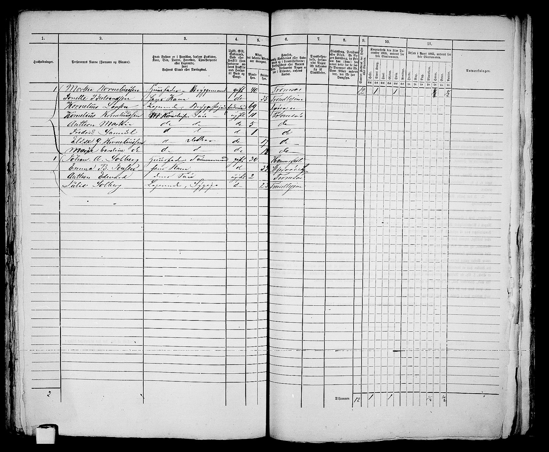 RA, 1865 census for Tromsø, 1865, p. 335