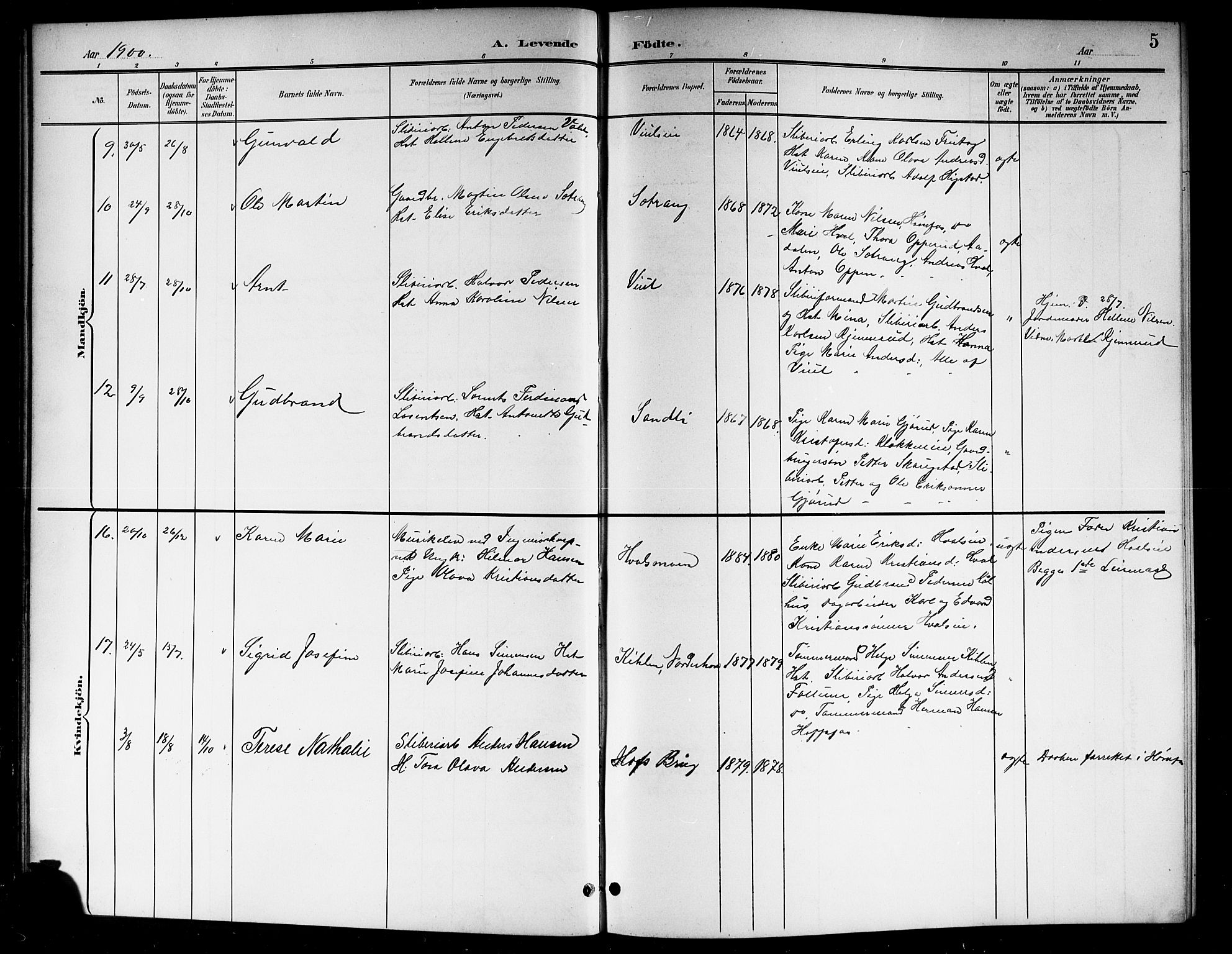 Norderhov kirkebøker, AV/SAKO-A-237/G/Gb/L0002: Parish register (copy) no. II 2, 1891-1921, p. 5