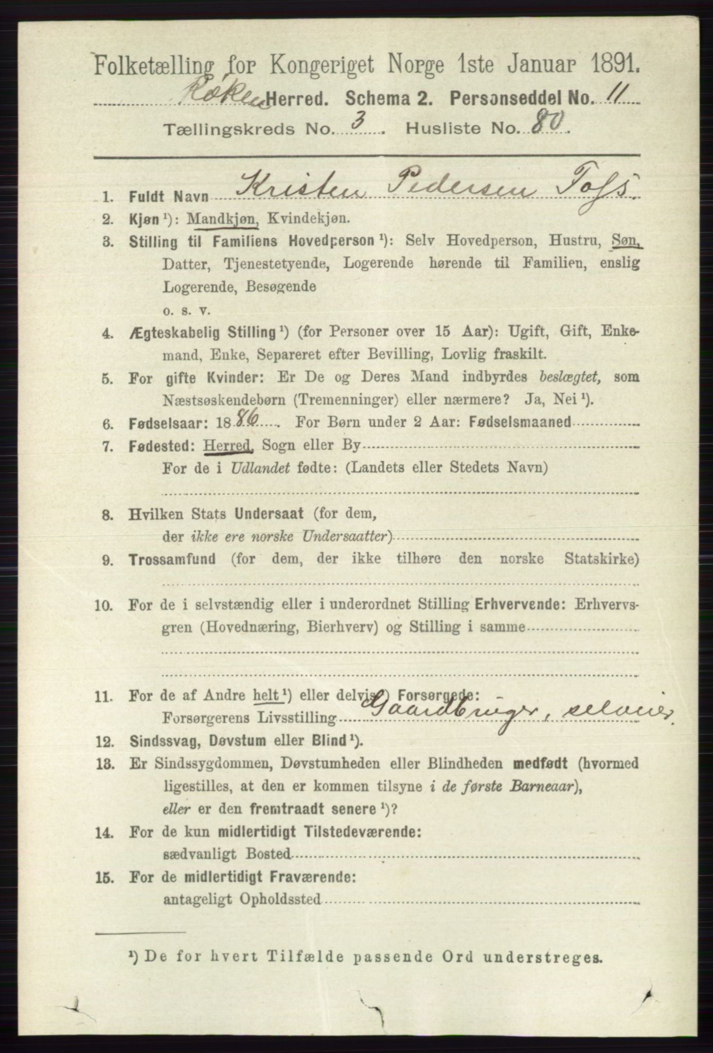 RA, 1891 census for 0627 Røyken, 1891, p. 1723