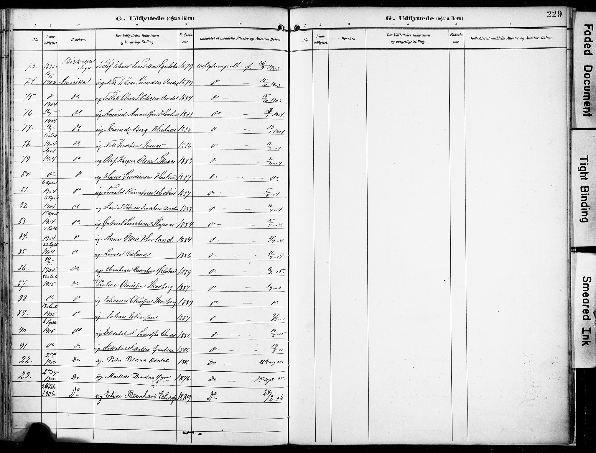 Eigersund sokneprestkontor, SAST/A-101807/S08/L0018: Parish register (official) no. A 17, 1892-1905, p. 229