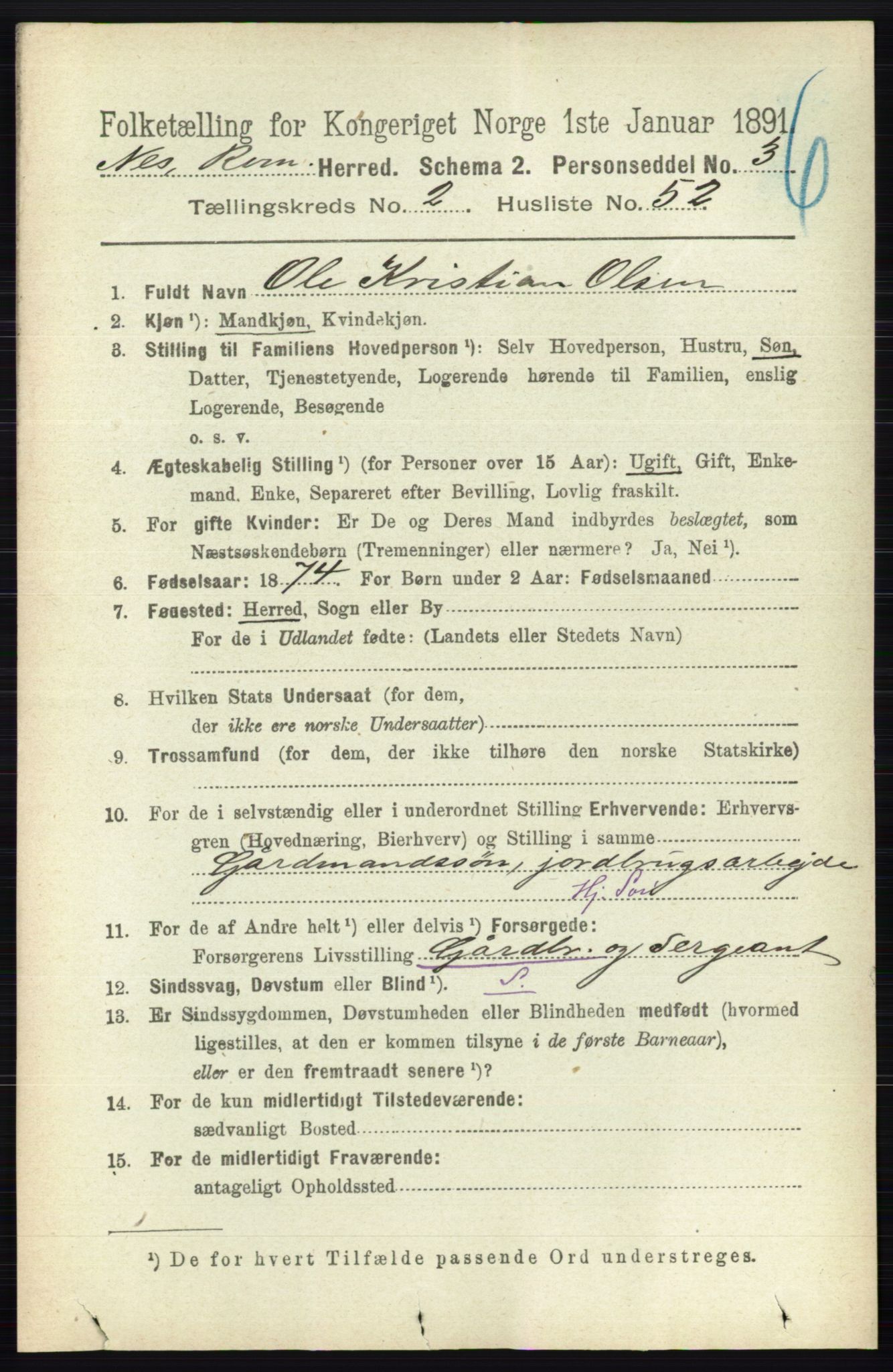 RA, 1891 census for 0236 Nes, 1891, p. 1203