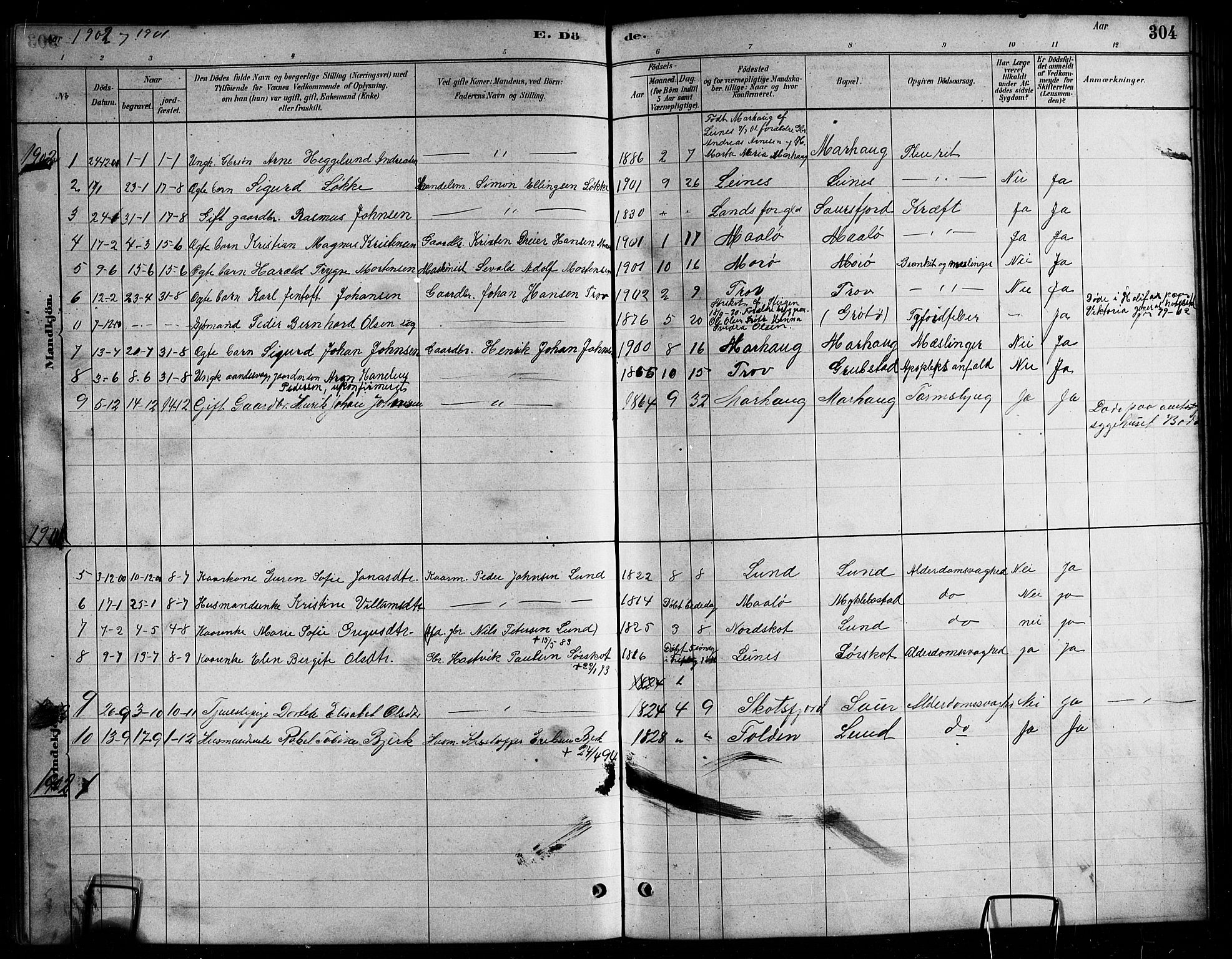 Ministerialprotokoller, klokkerbøker og fødselsregistre - Nordland, AV/SAT-A-1459/857/L0828: Parish register (copy) no. 857C03, 1879-1908, p. 304