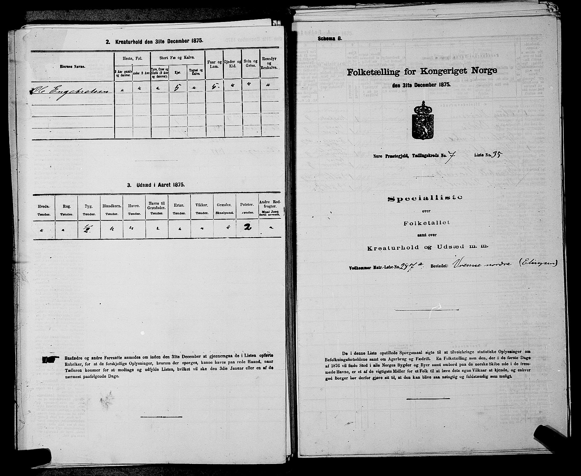 SAKO, 1875 census for 0633P Nore, 1875, p. 916