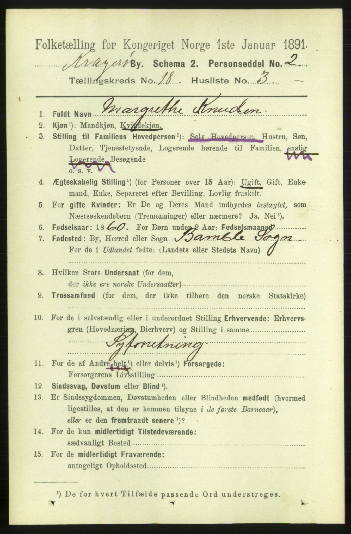 RA, 1891 census for 0801 Kragerø, 1891, p. 4466