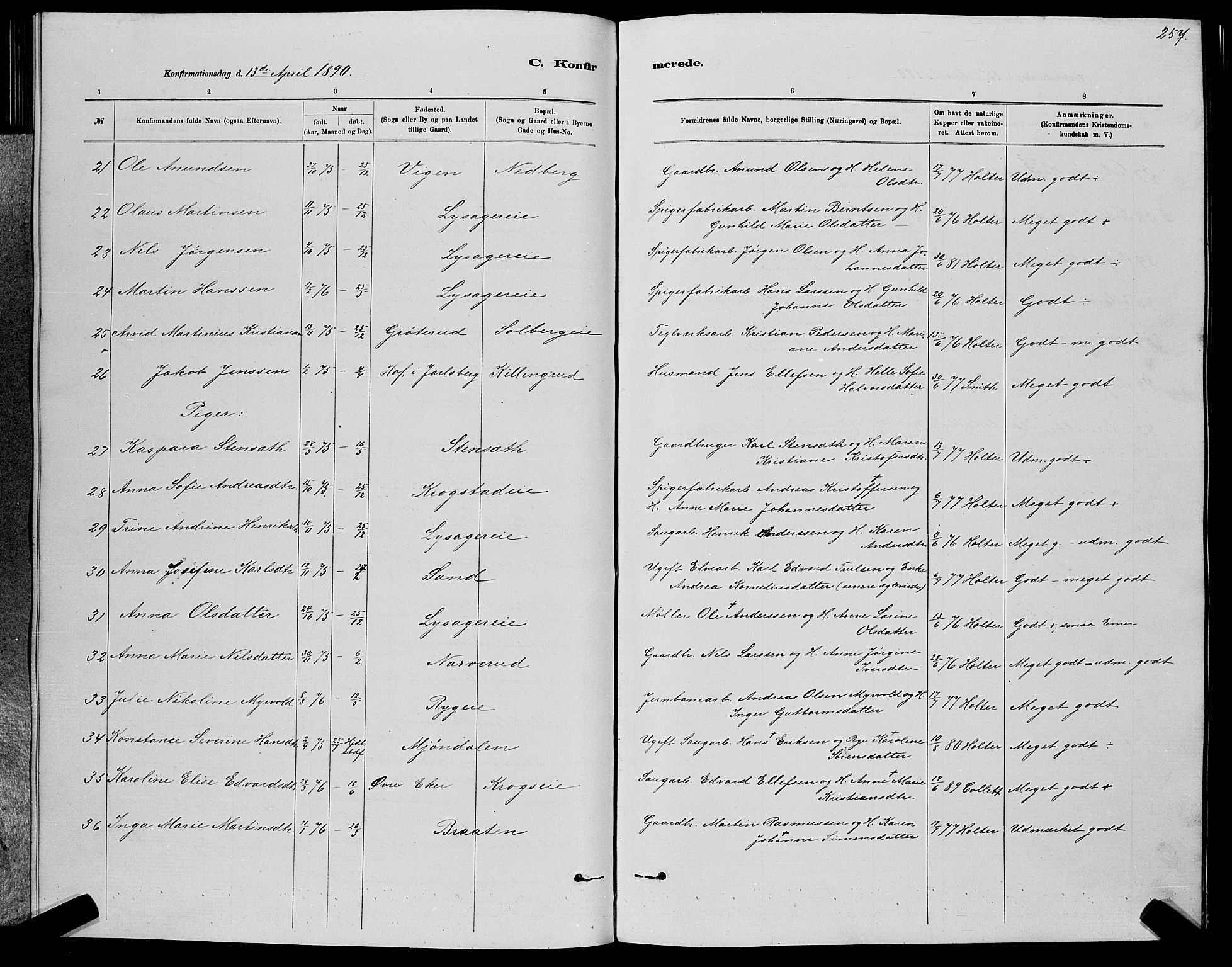 Nedre Eiker kirkebøker, AV/SAKO-A-612/G/Ga/L0002: Parish register (copy) no. 2, 1880-1896, p. 257