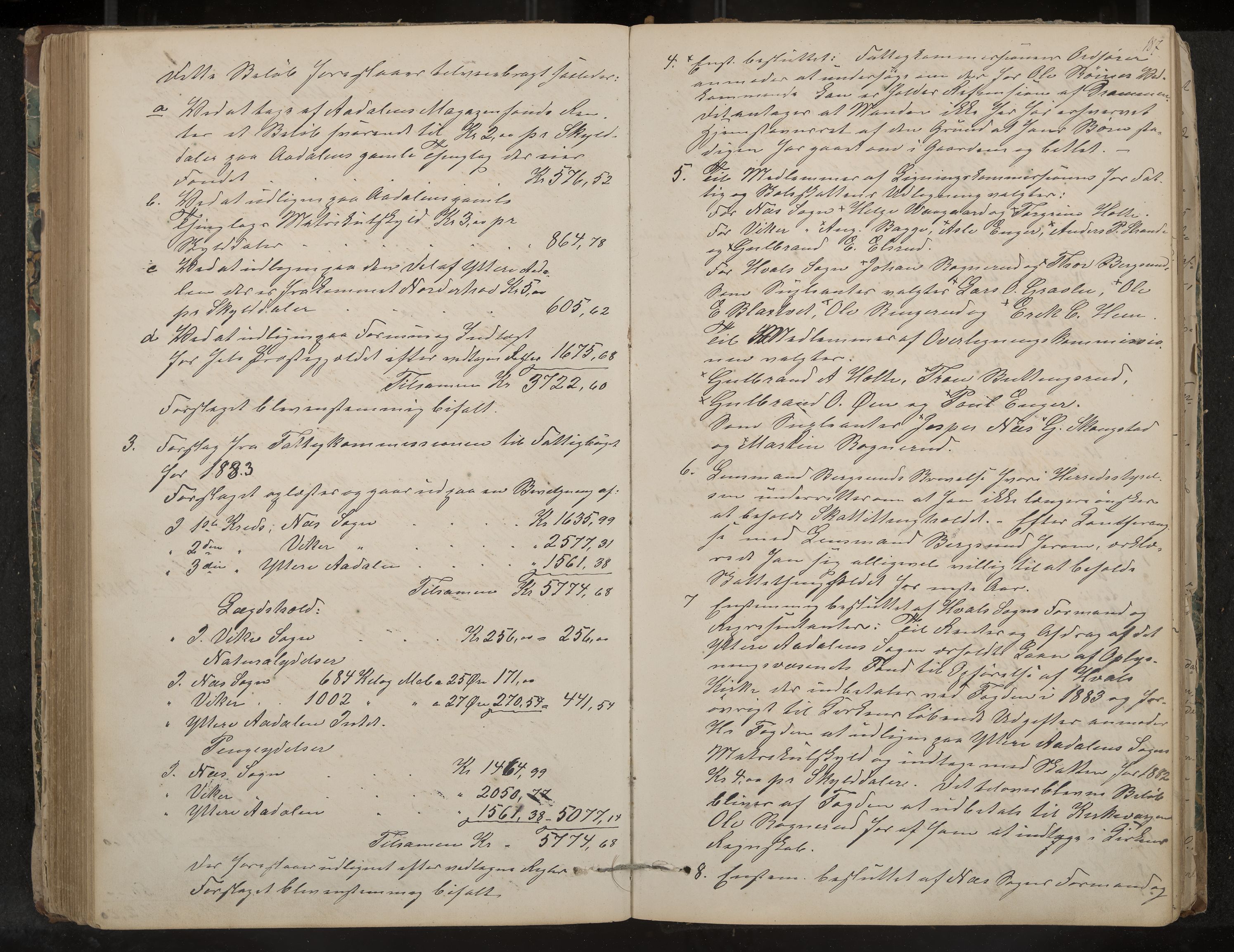 Ådal formannskap og sentraladministrasjon, IKAK/0614021/A/Aa/L0001: Møtebok, 1858-1891, p. 187