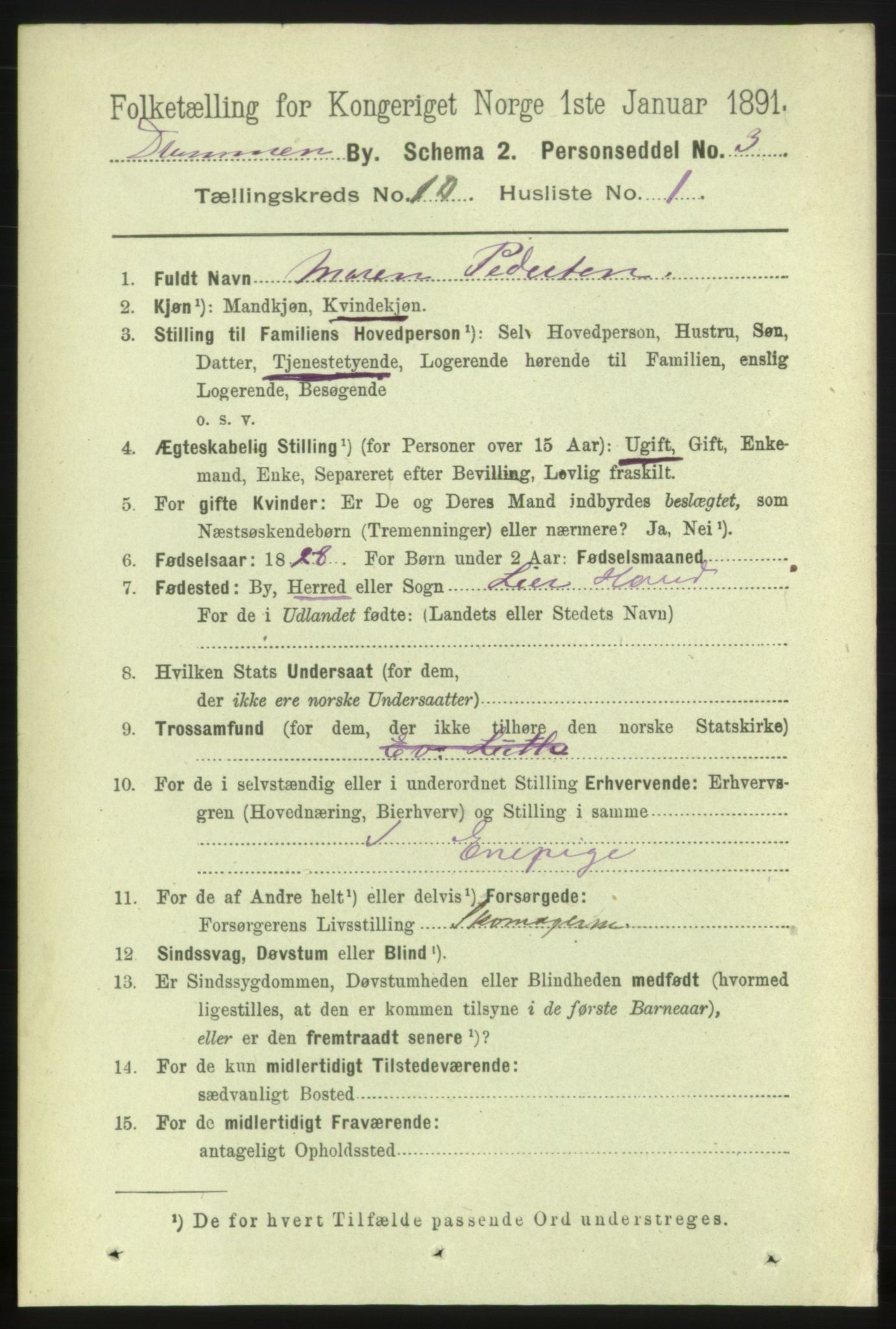 RA, 1891 census for 0602 Drammen, 1891, p. 7914