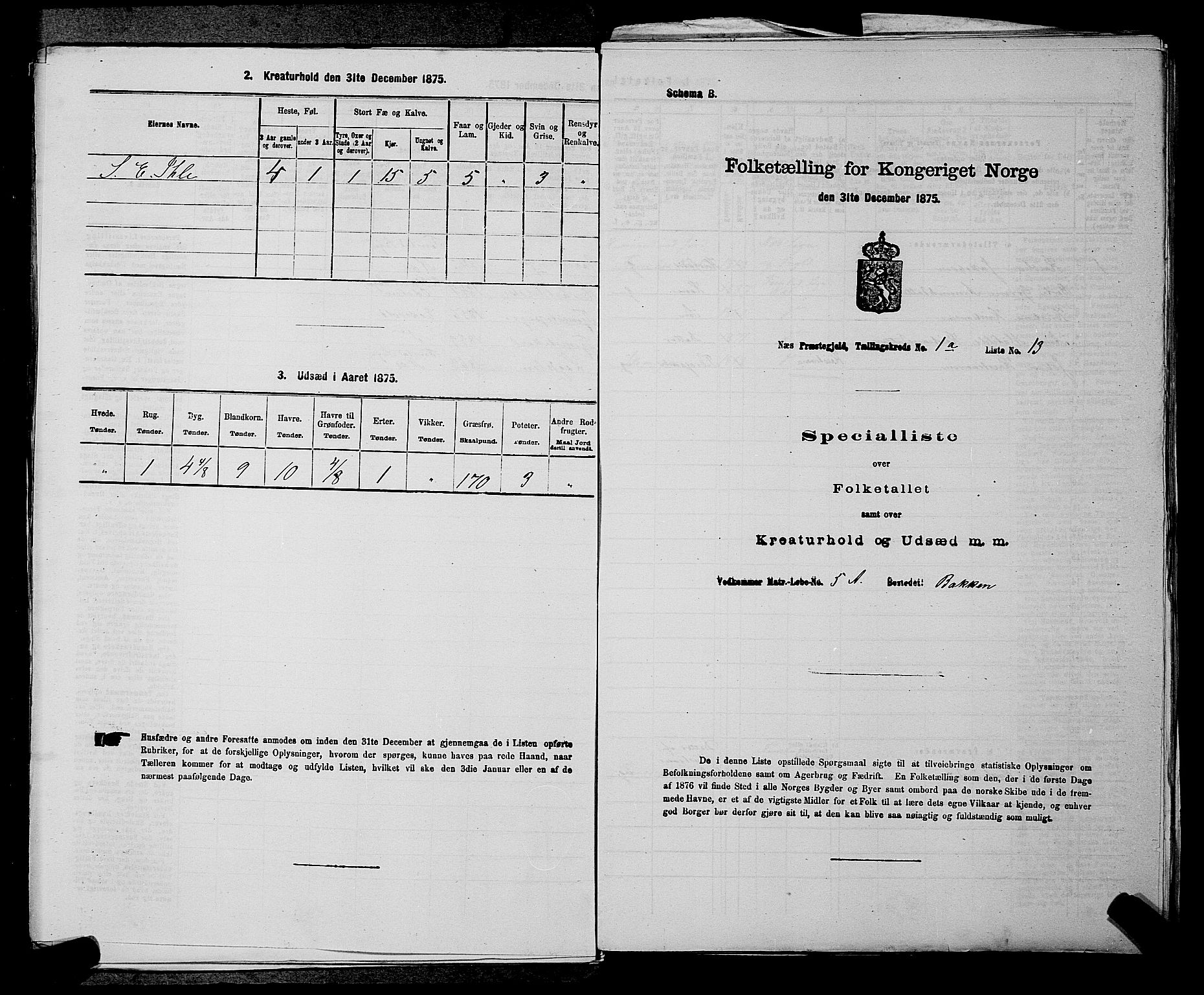 RA, 1875 census for 0236P Nes, 1875, p. 96