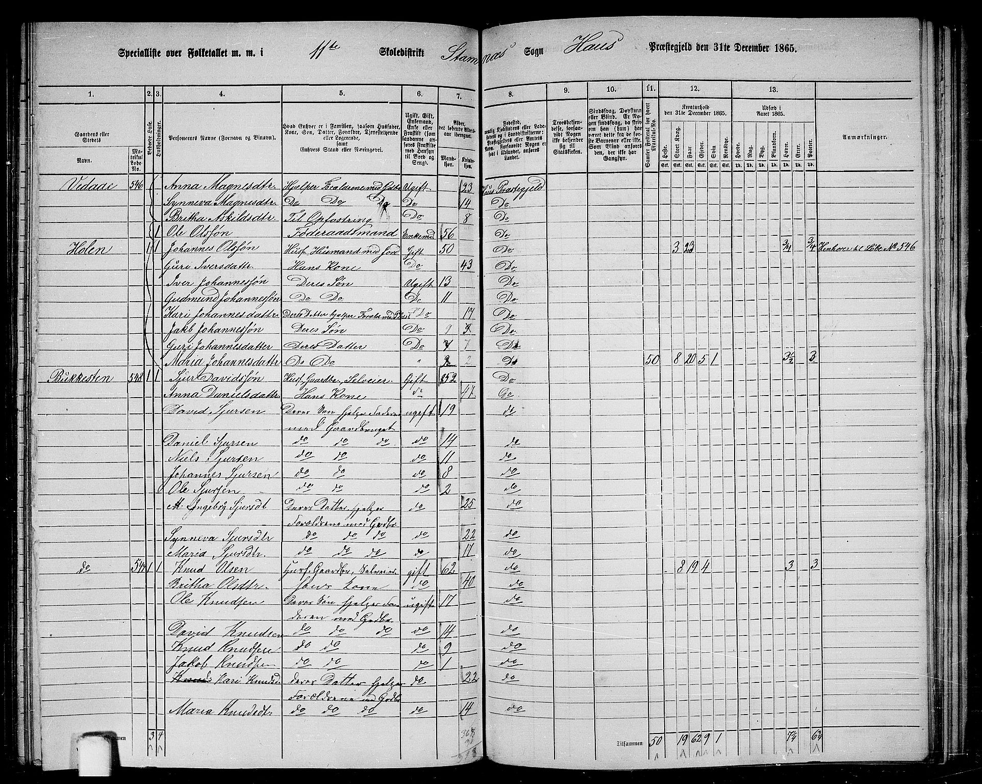 RA, 1865 census for Haus, 1865, p. 229