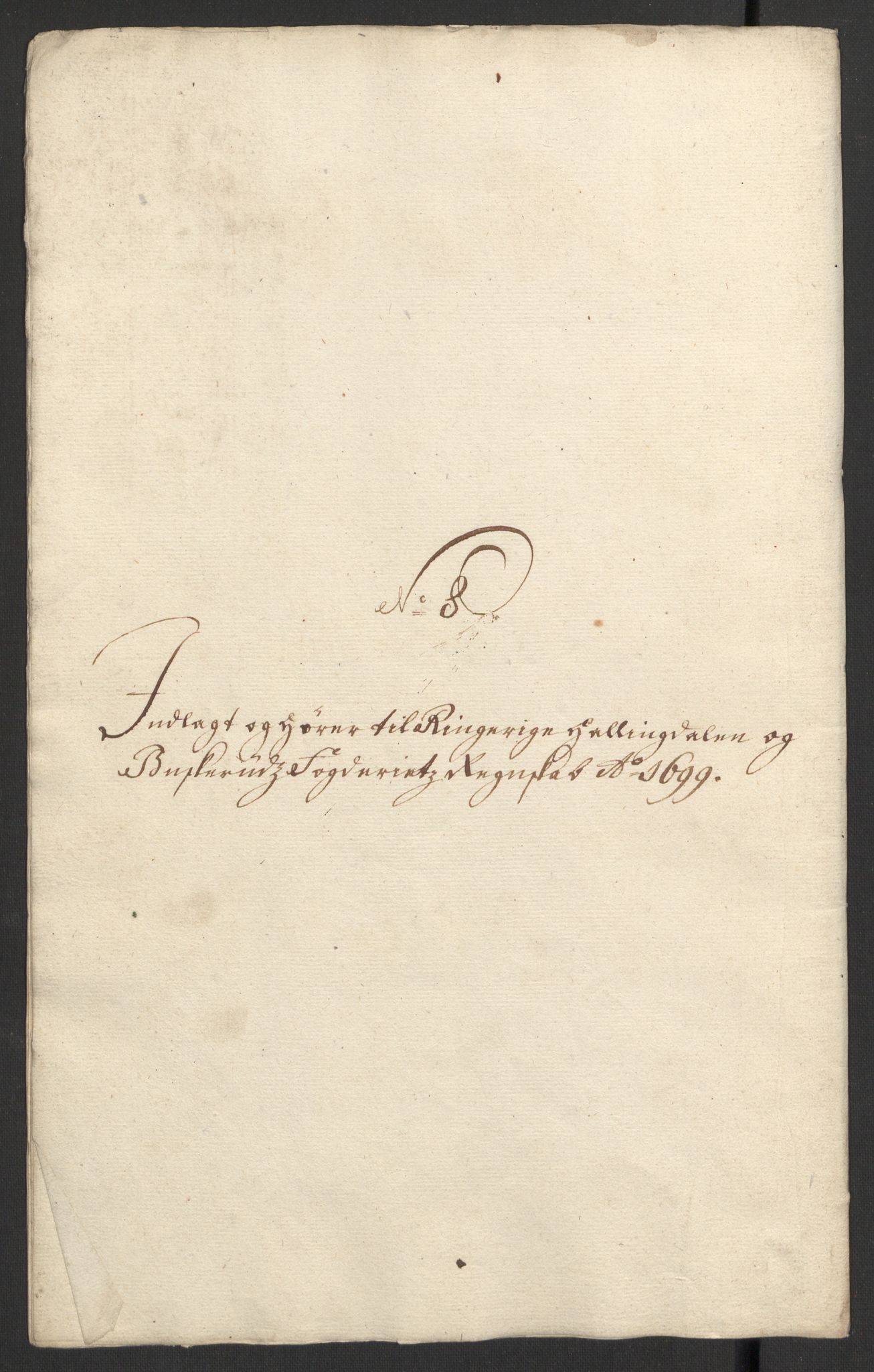 Rentekammeret inntil 1814, Reviderte regnskaper, Fogderegnskap, RA/EA-4092/R22/L1456: Fogderegnskap Ringerike, Hallingdal og Buskerud, 1699, p. 342