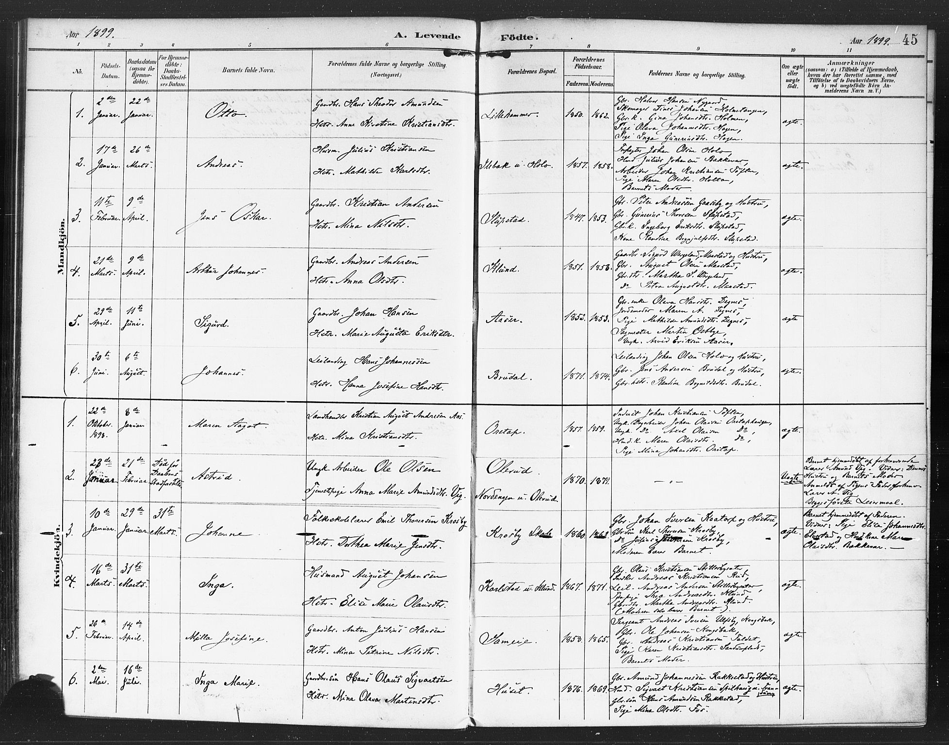 Rødenes prestekontor Kirkebøker, SAO/A-2005/F/Fa/L0010: Parish register (official) no. I 10, 1890-1900, p. 45
