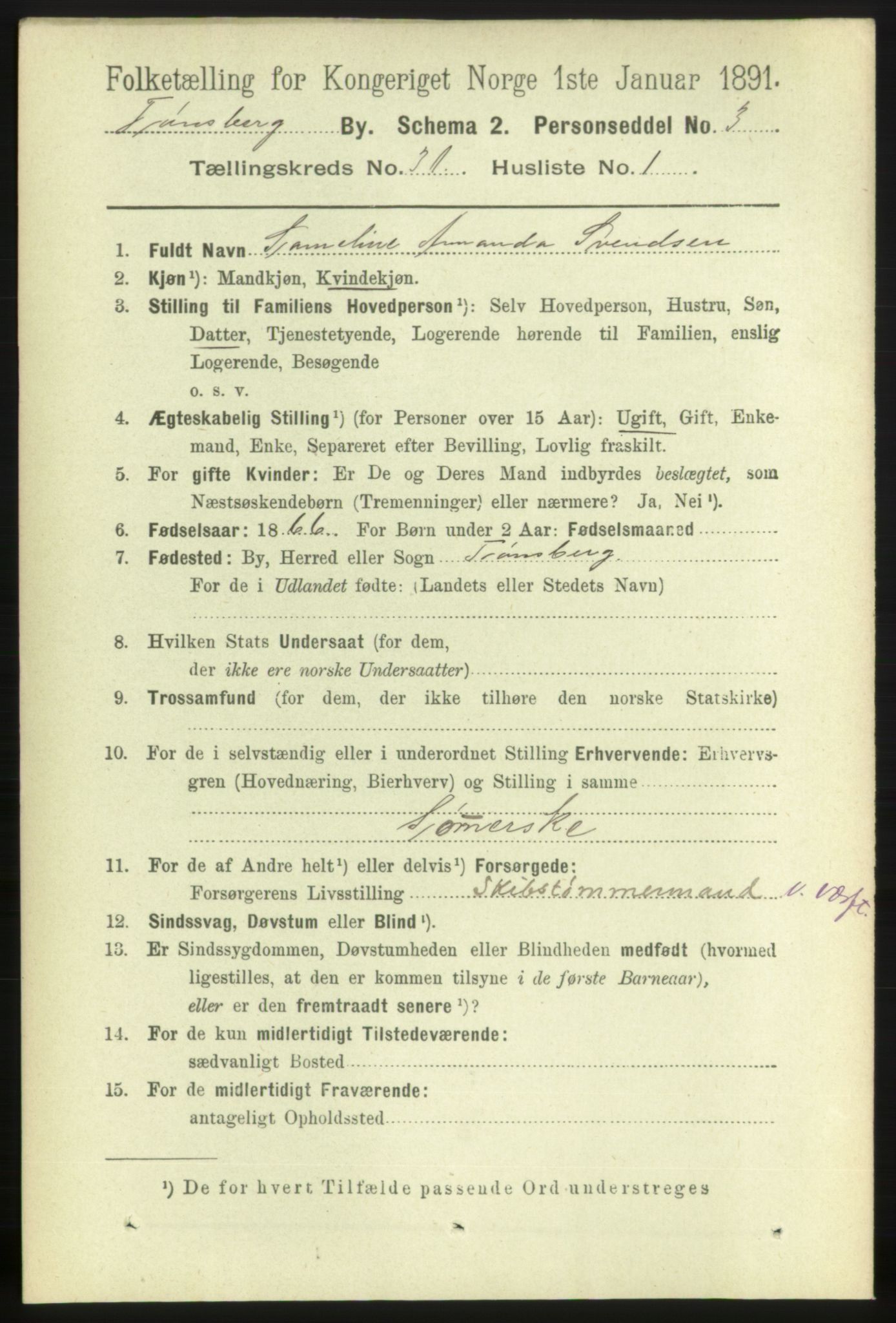 RA, 1891 census for 0705 Tønsberg, 1891, p. 7378