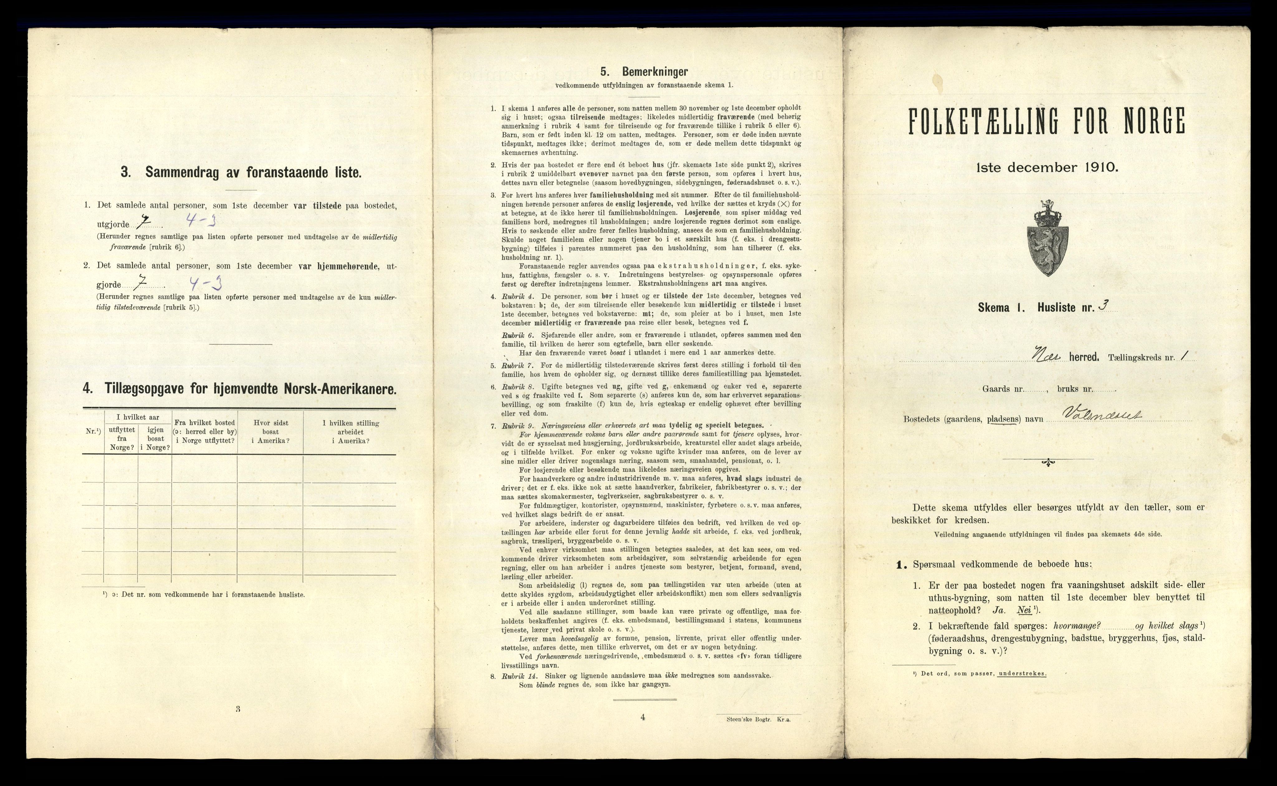 RA, 1910 census for Nes, 1910, p. 21