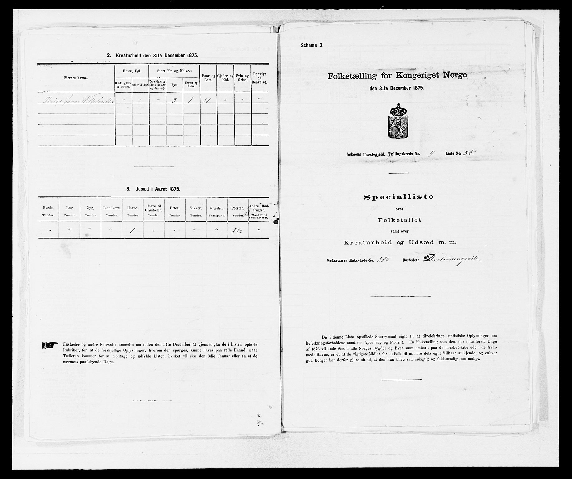 SAB, 1875 census for 1247P Askøy, 1875, p. 1338