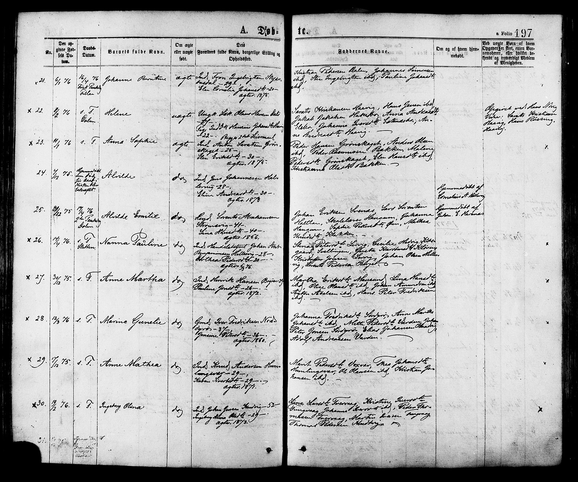 Ministerialprotokoller, klokkerbøker og fødselsregistre - Sør-Trøndelag, SAT/A-1456/634/L0532: Parish register (official) no. 634A08, 1871-1881, p. 197
